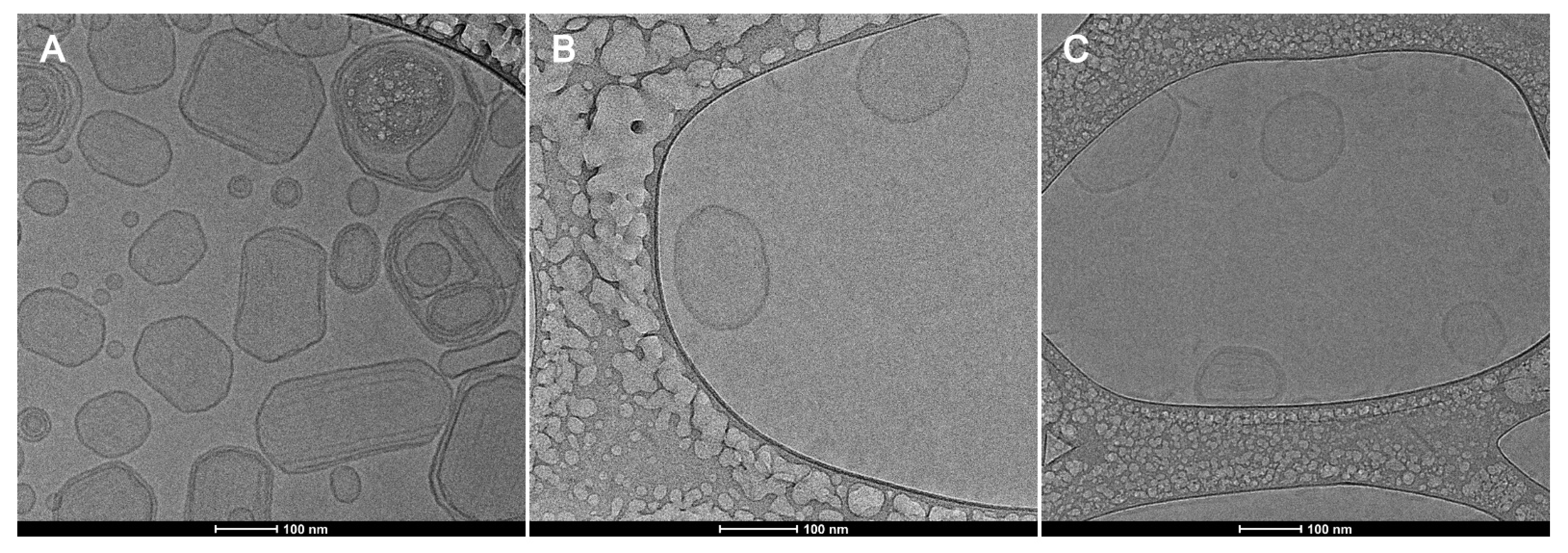 Pharmaceutics 14 01819 g008