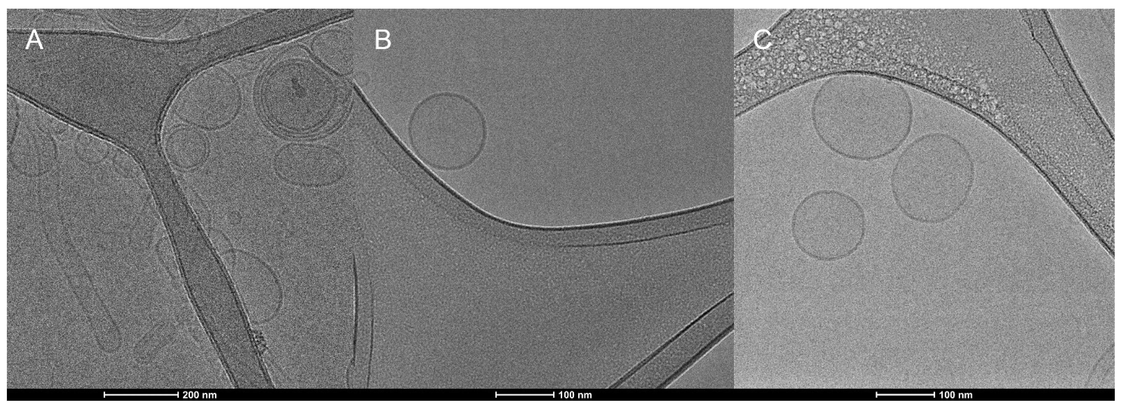Pharmaceutics 14 01819 g009