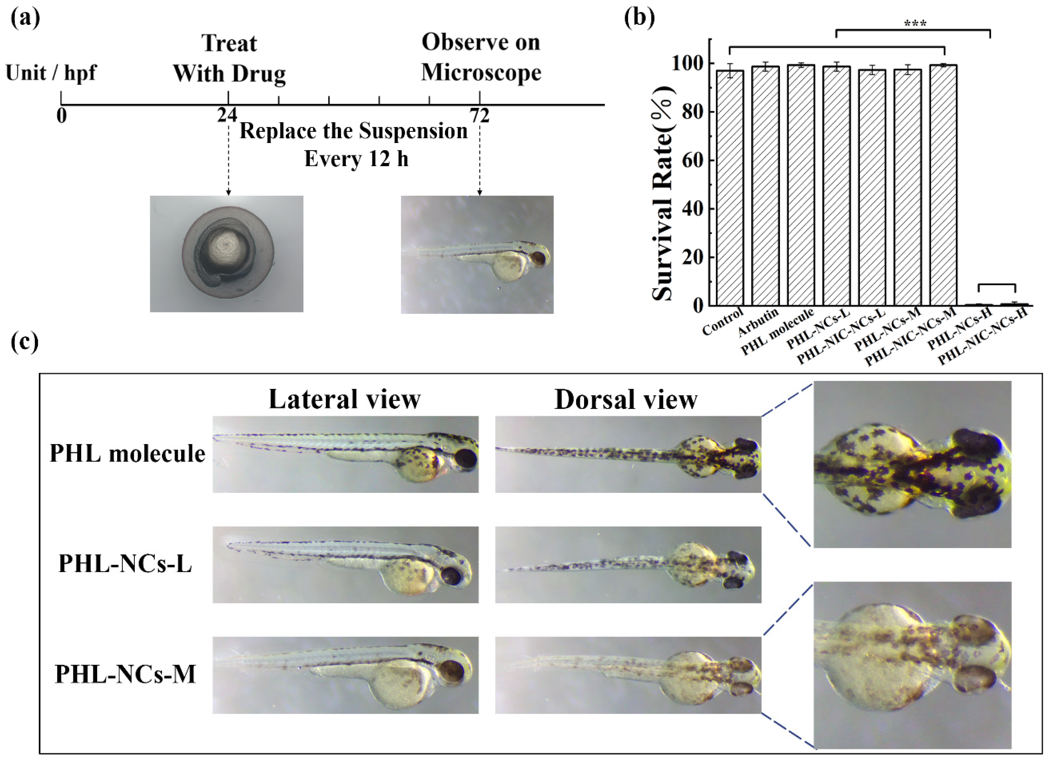 Pharmaceutics 14 01825 g003