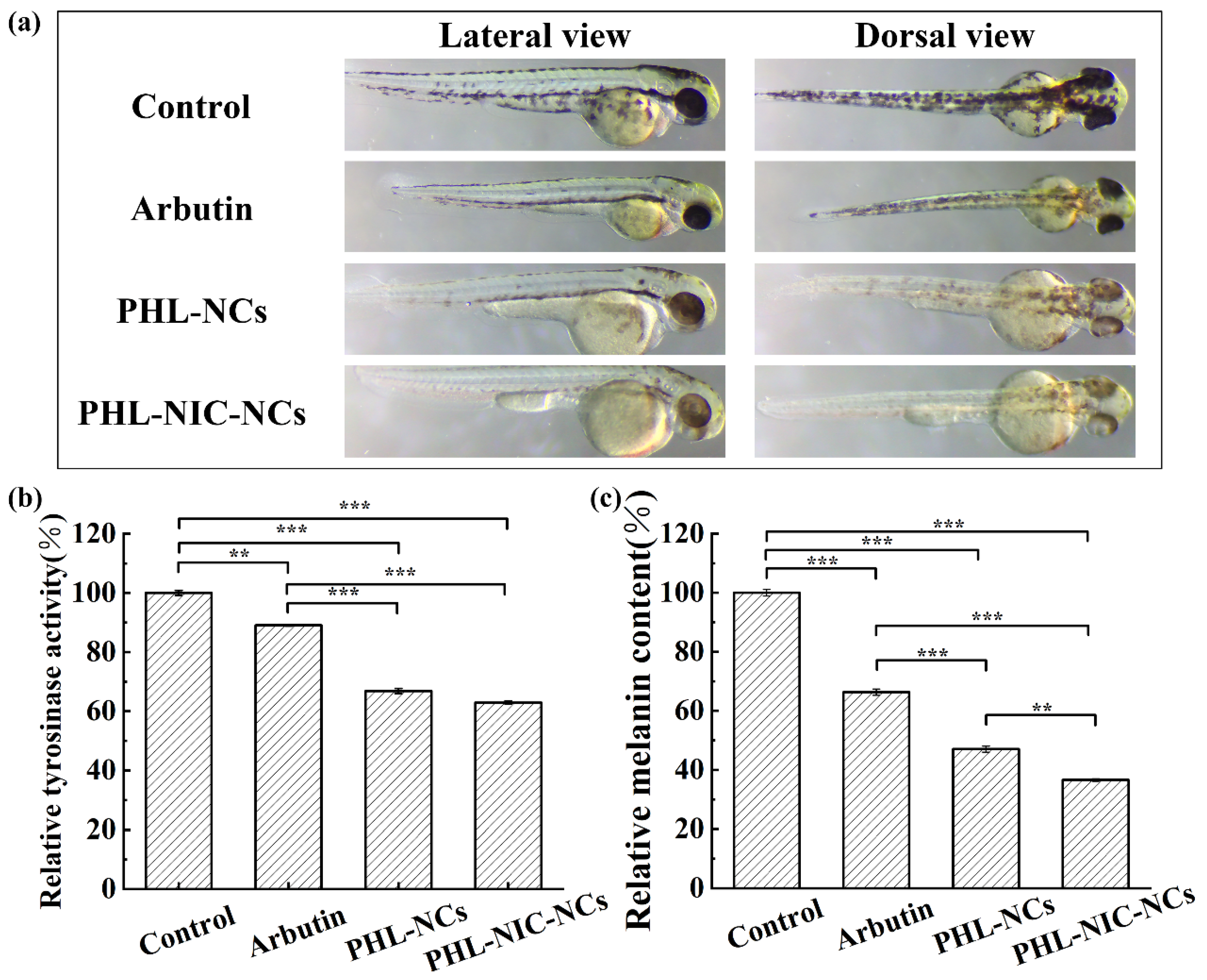 Pharmaceutics 14 01825 g005