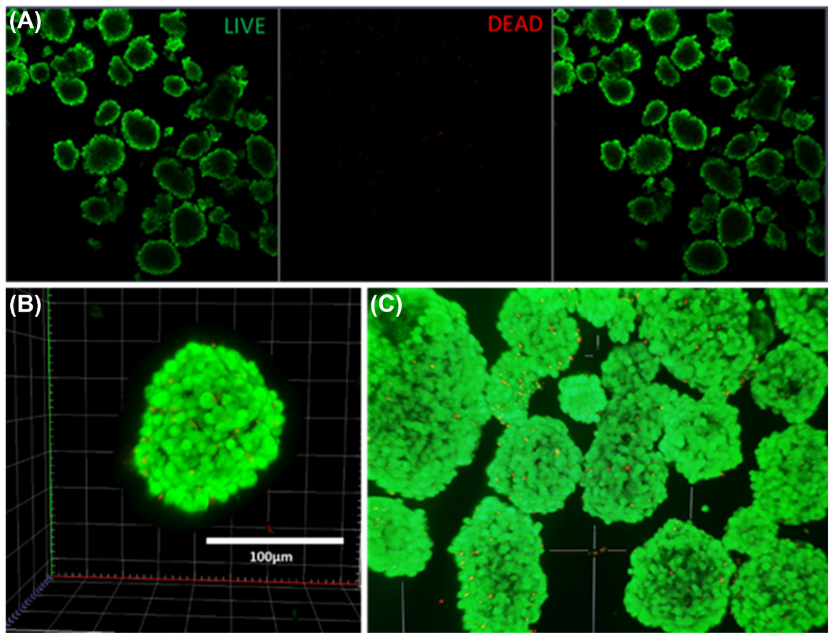 Pharmaceutics 14 01833 g002
