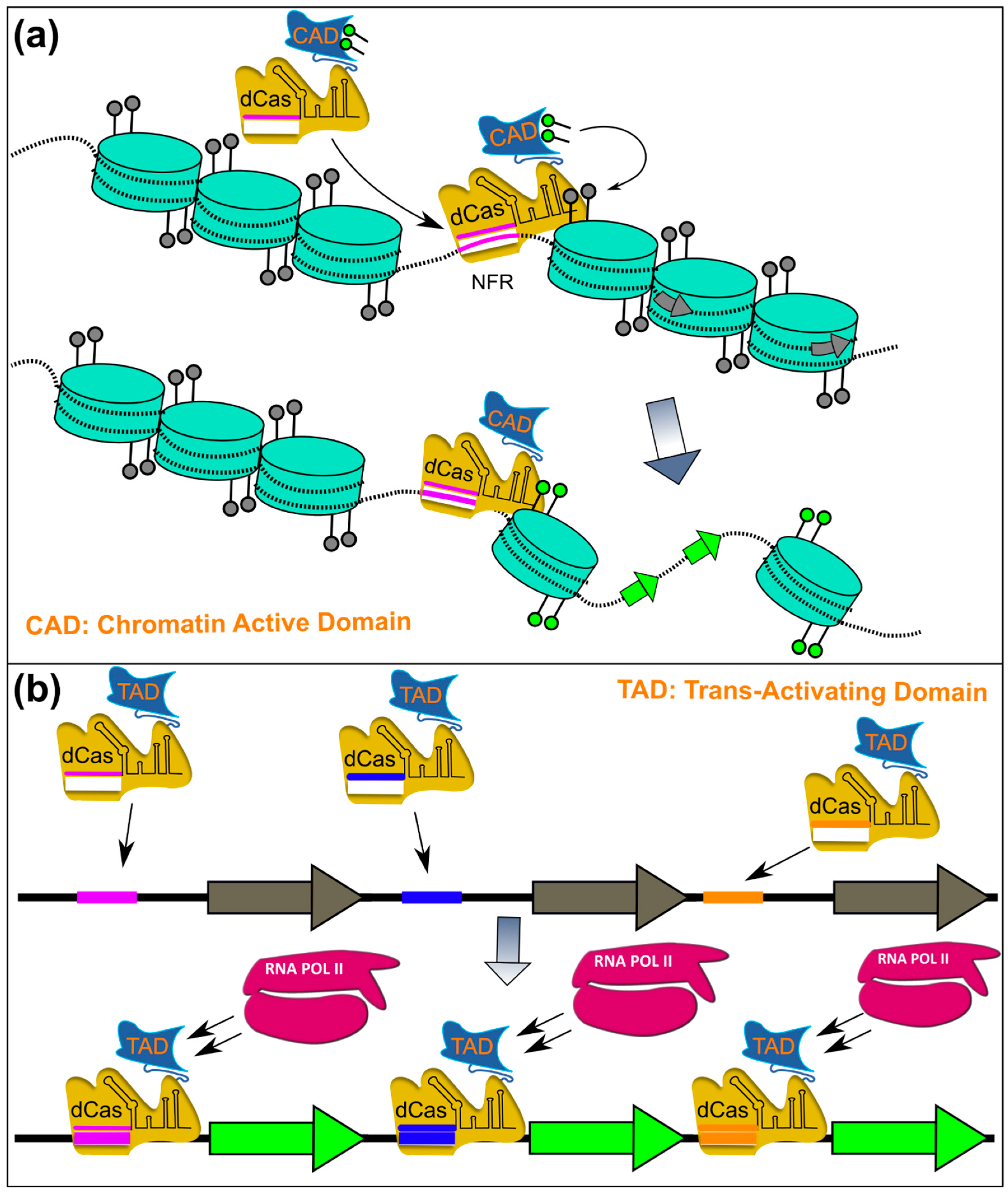 Pharmaceutics 14 01837 g004
