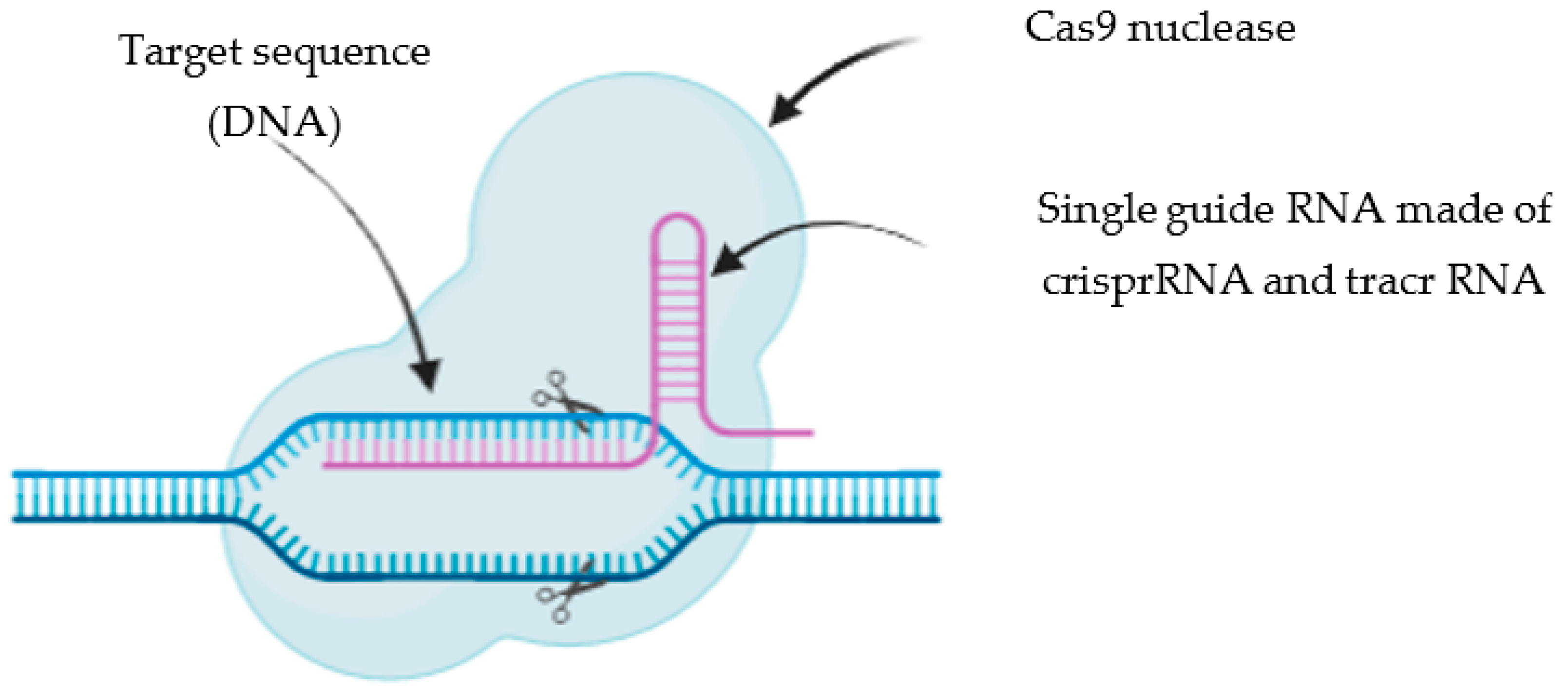 Pharmaceutics 14 01840 g001