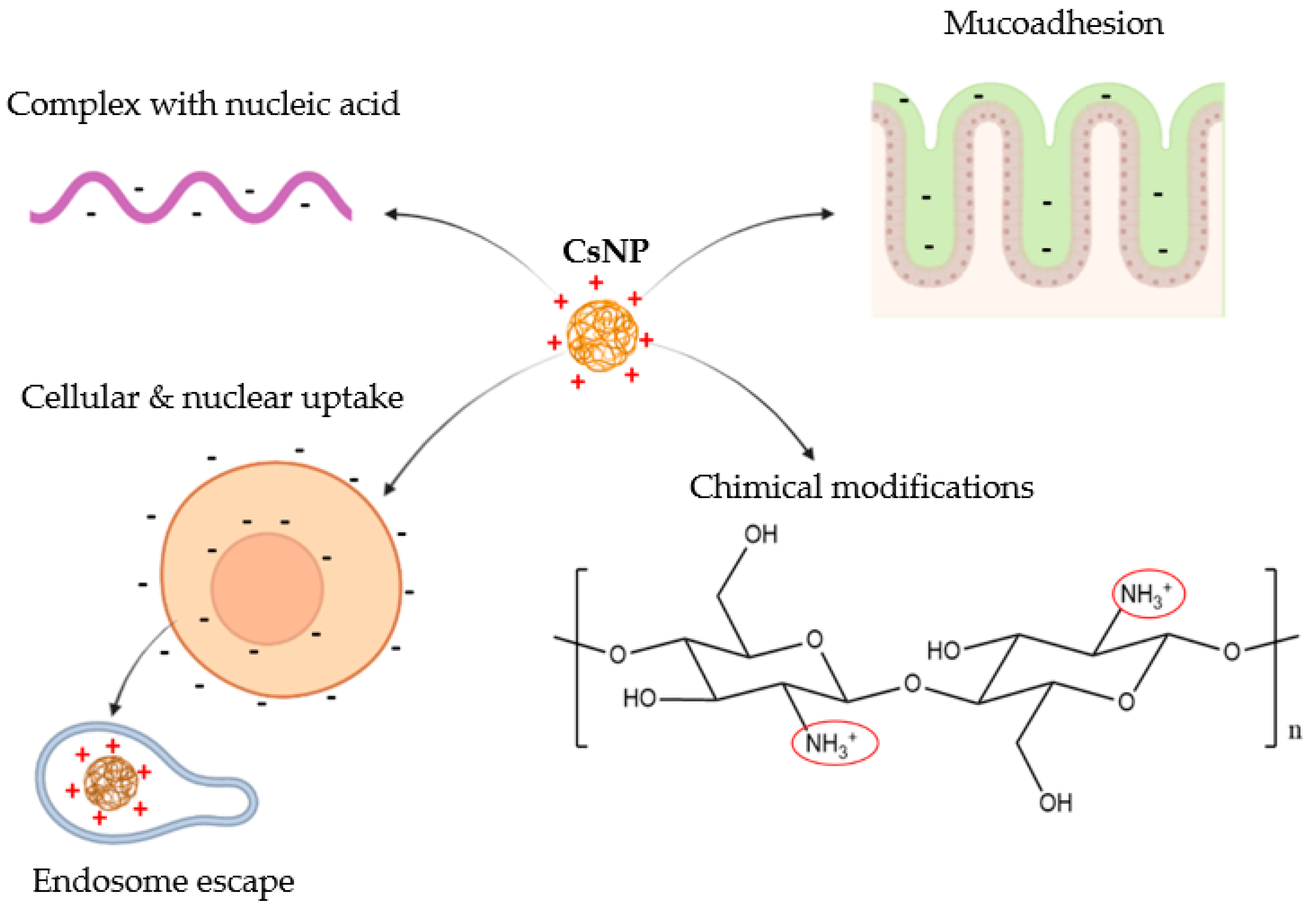 Pharmaceutics 14 01840 g003