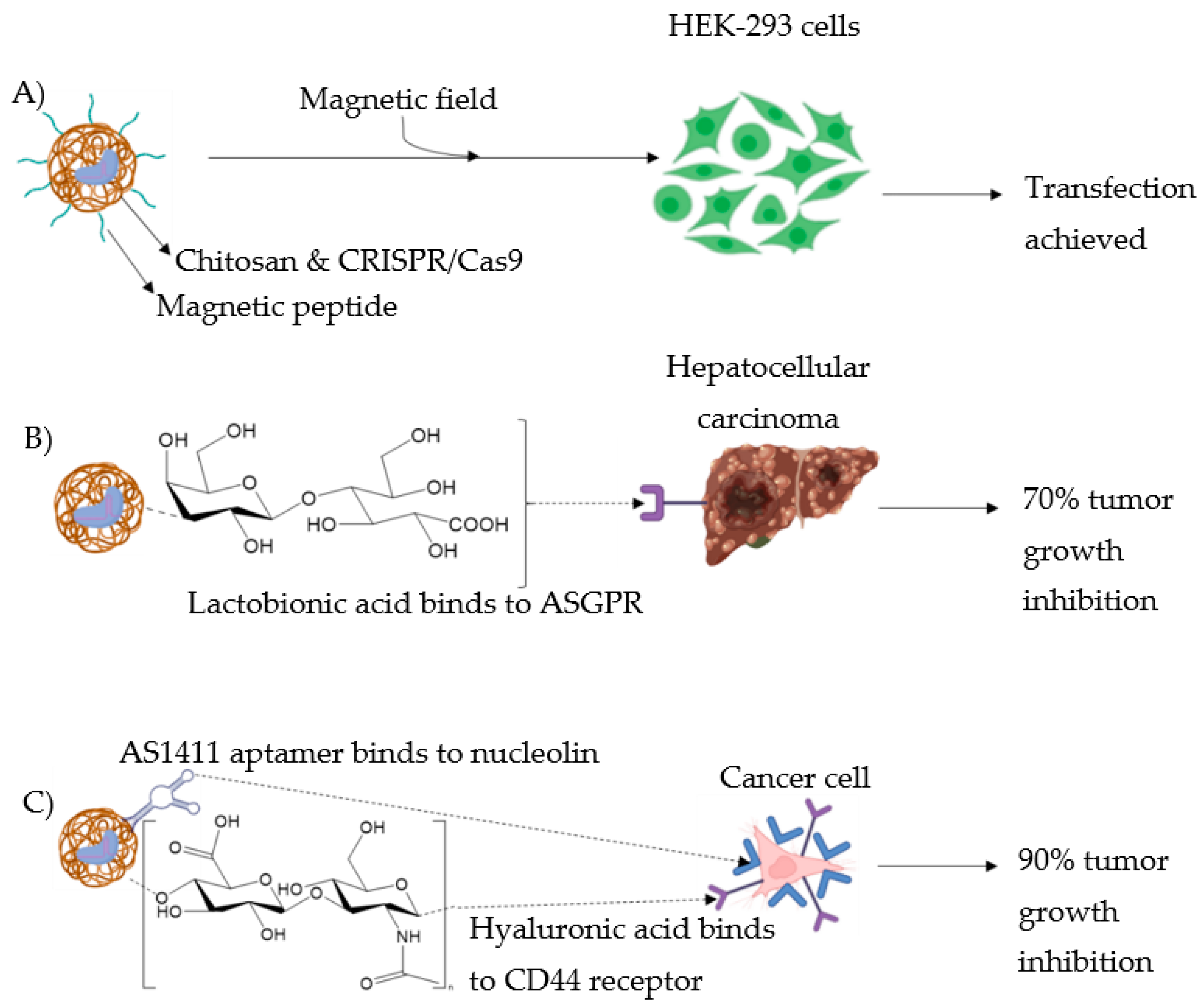 Pharmaceutics 14 01840 g006