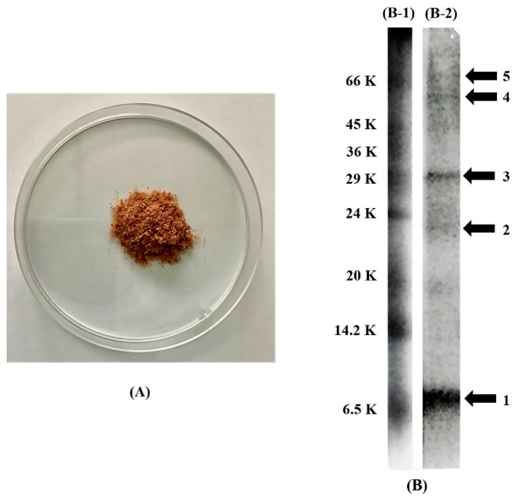 Pharmaceutics 14 01846 g001
