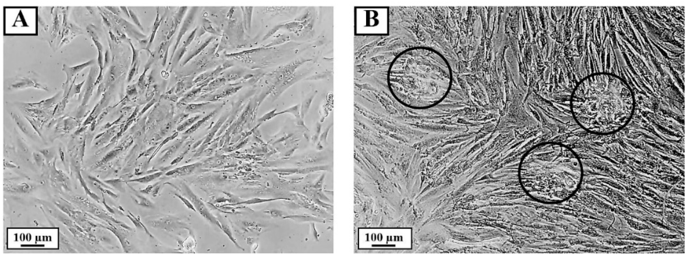 Pharmaceutics 14 01846 g005