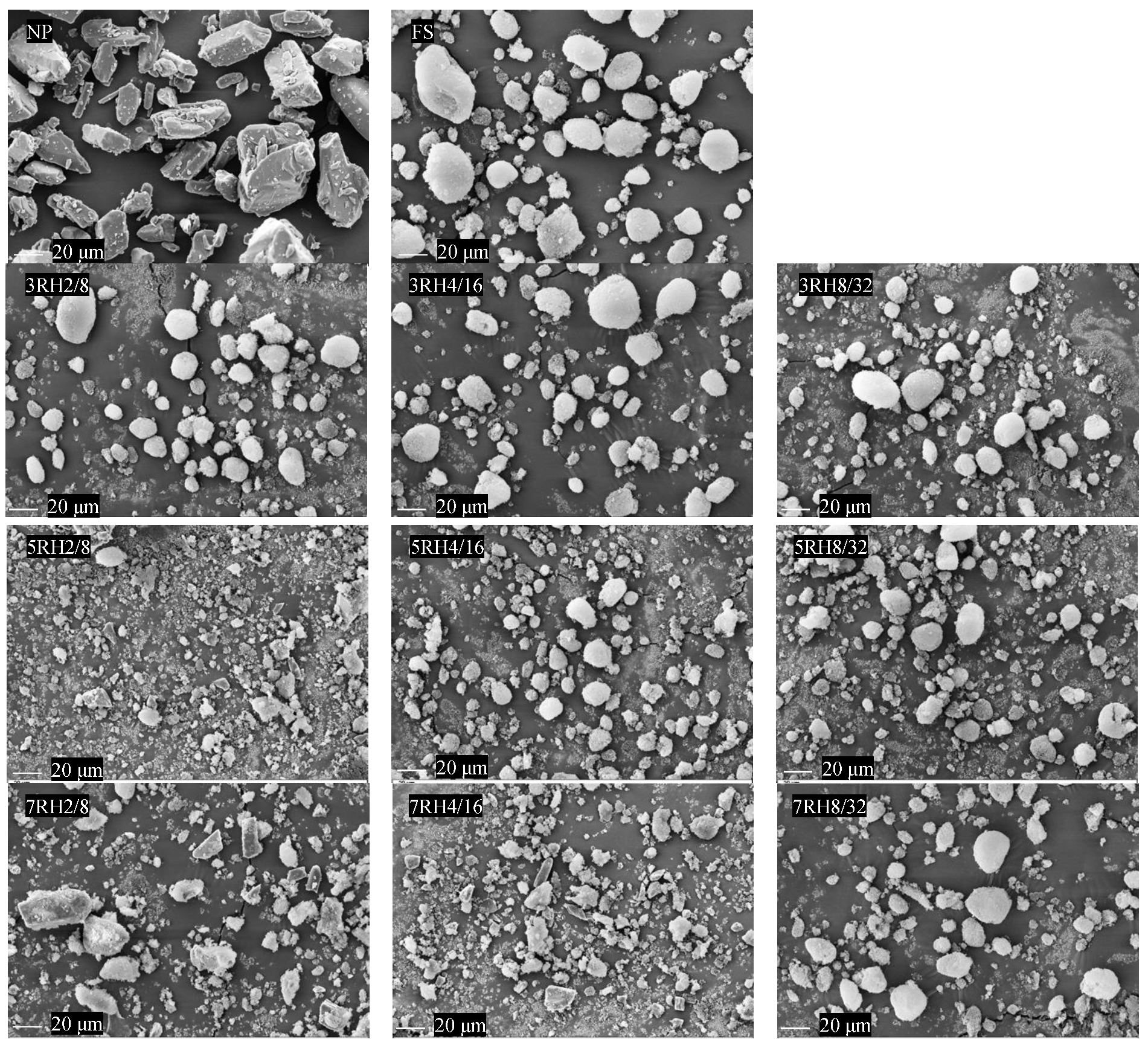 Pharmaceutics 14 01849 g001