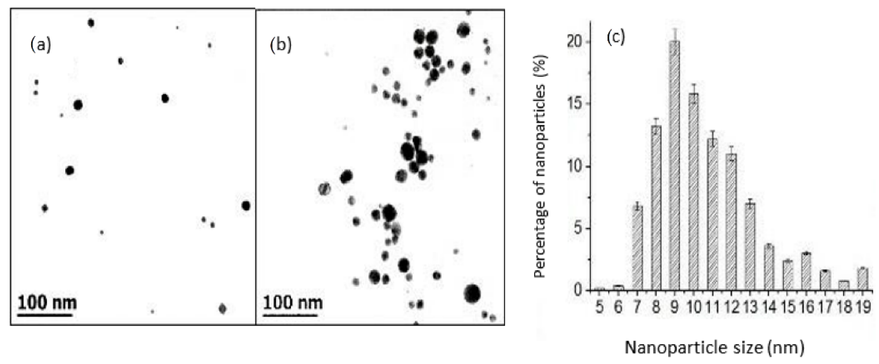 Pharmaceutics 14 01855 g003