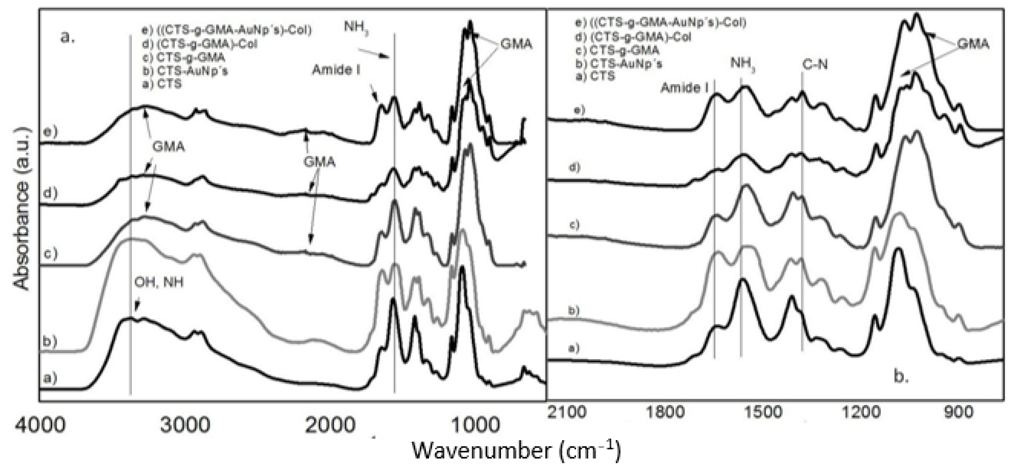 Pharmaceutics 14 01855 g005