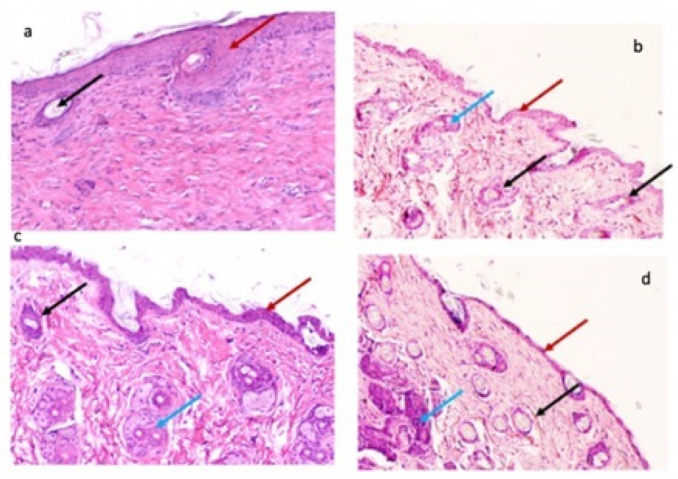 Pharmaceutics 14 01855 g012