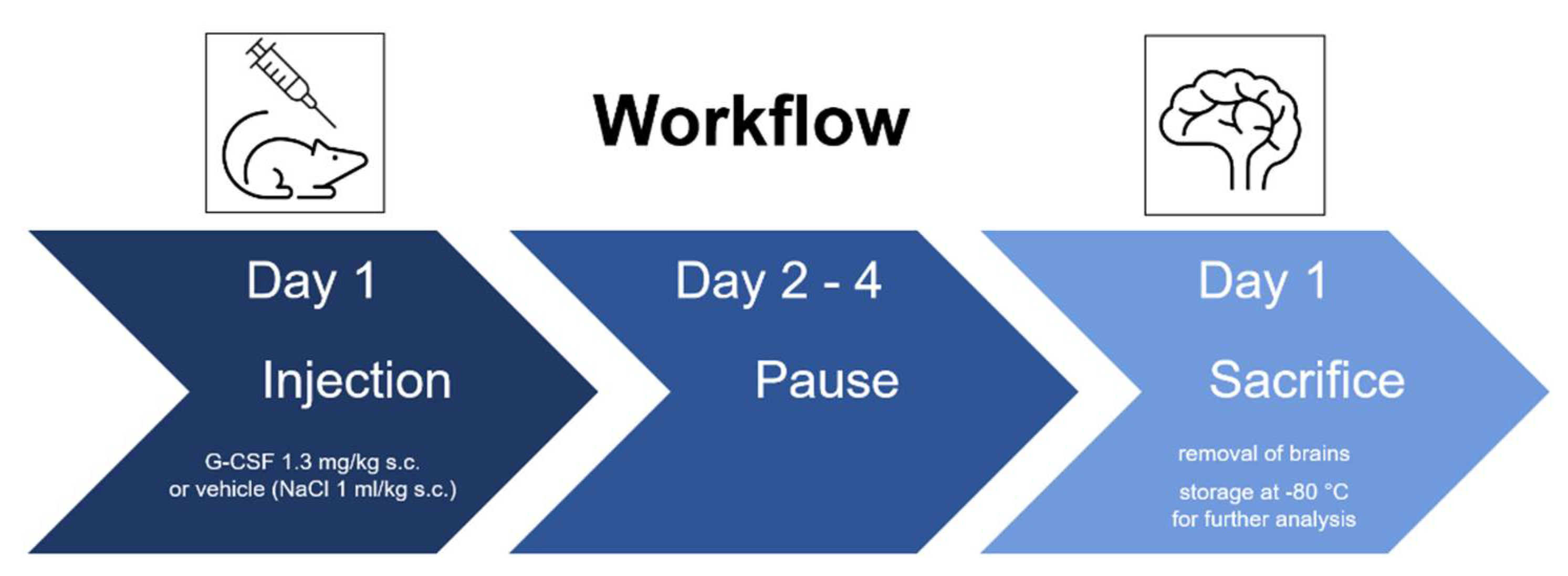Pharmaceutics 14 01858 g001