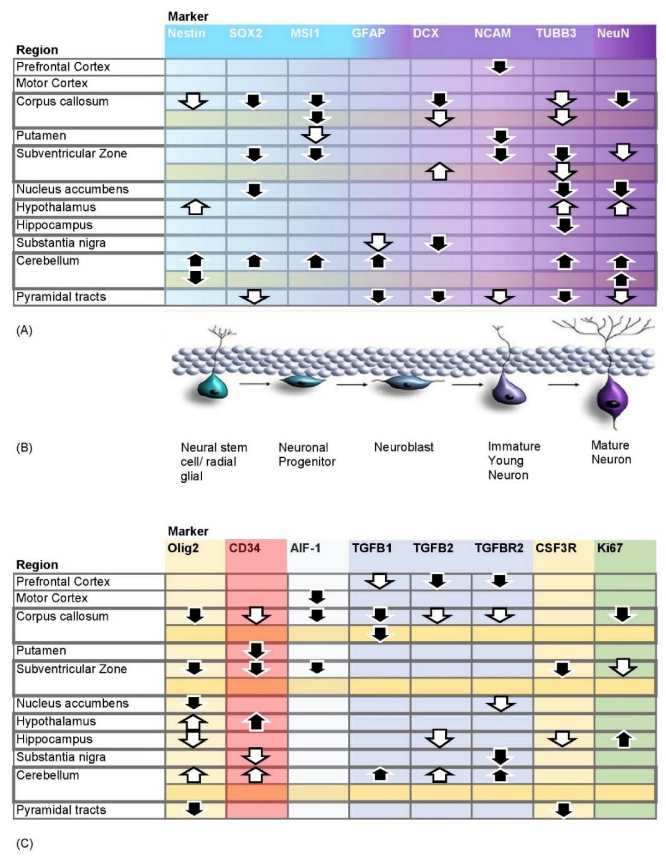 Pharmaceutics 14 01858 g002