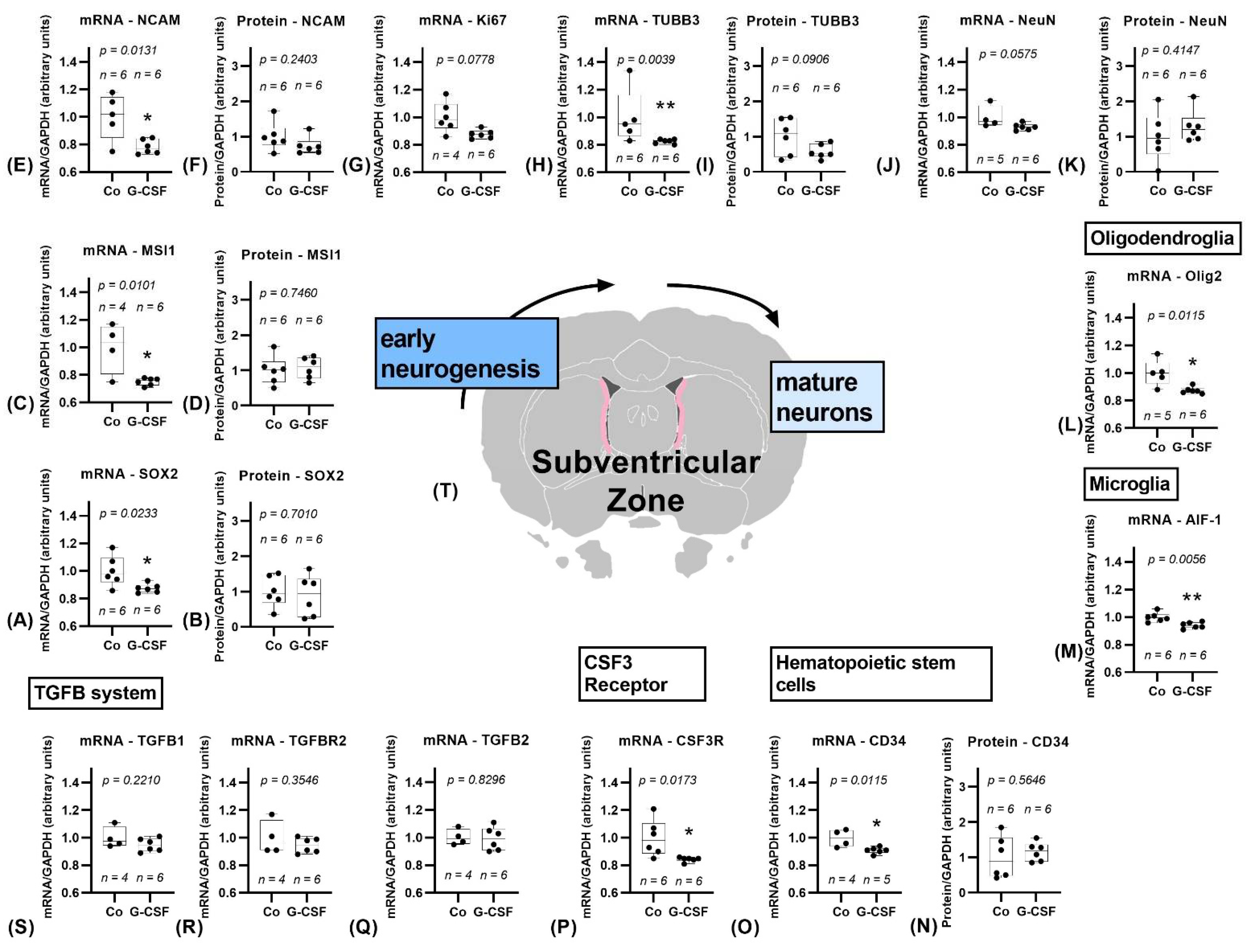 Pharmaceutics 14 01858 g003