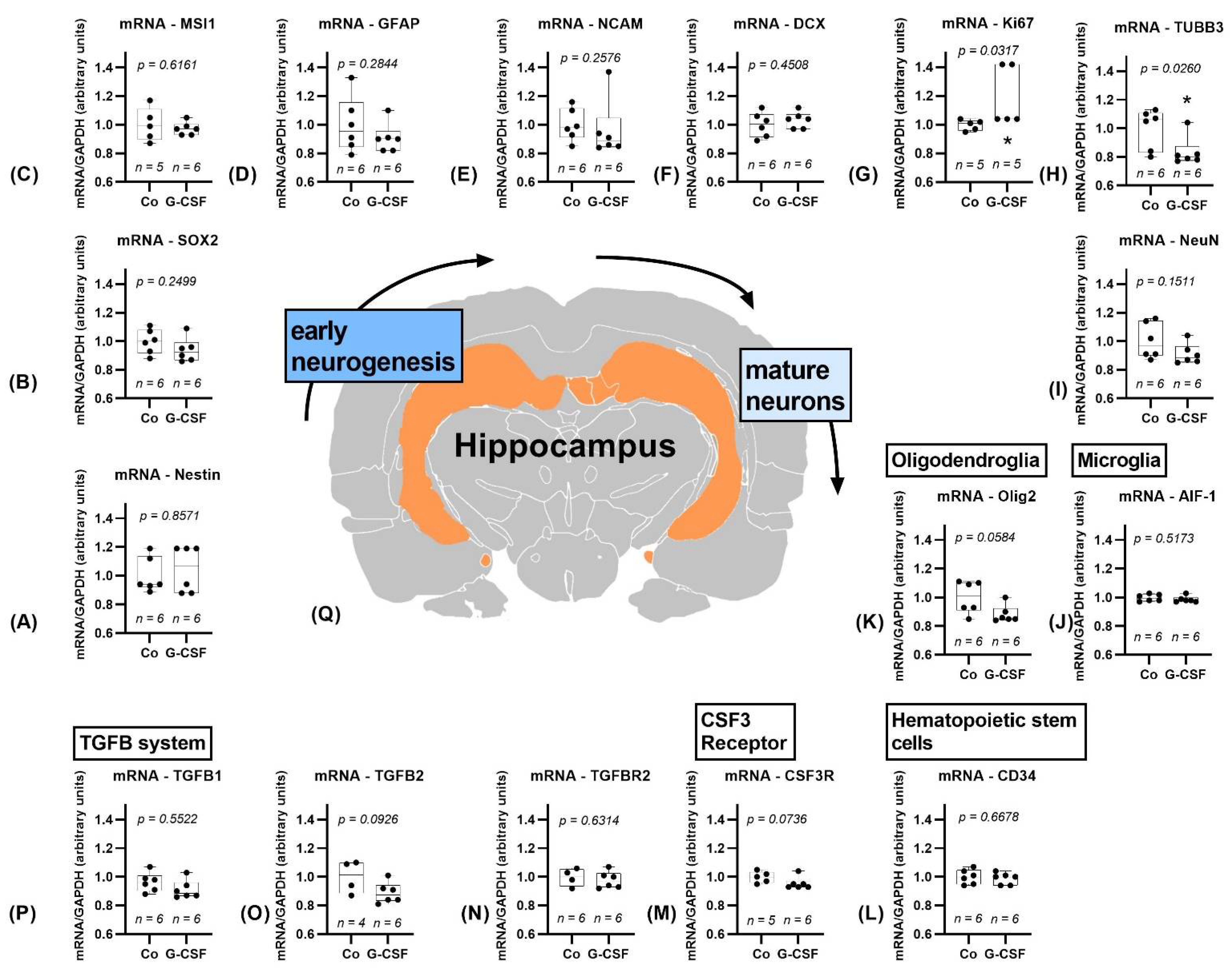 Pharmaceutics 14 01858 g004