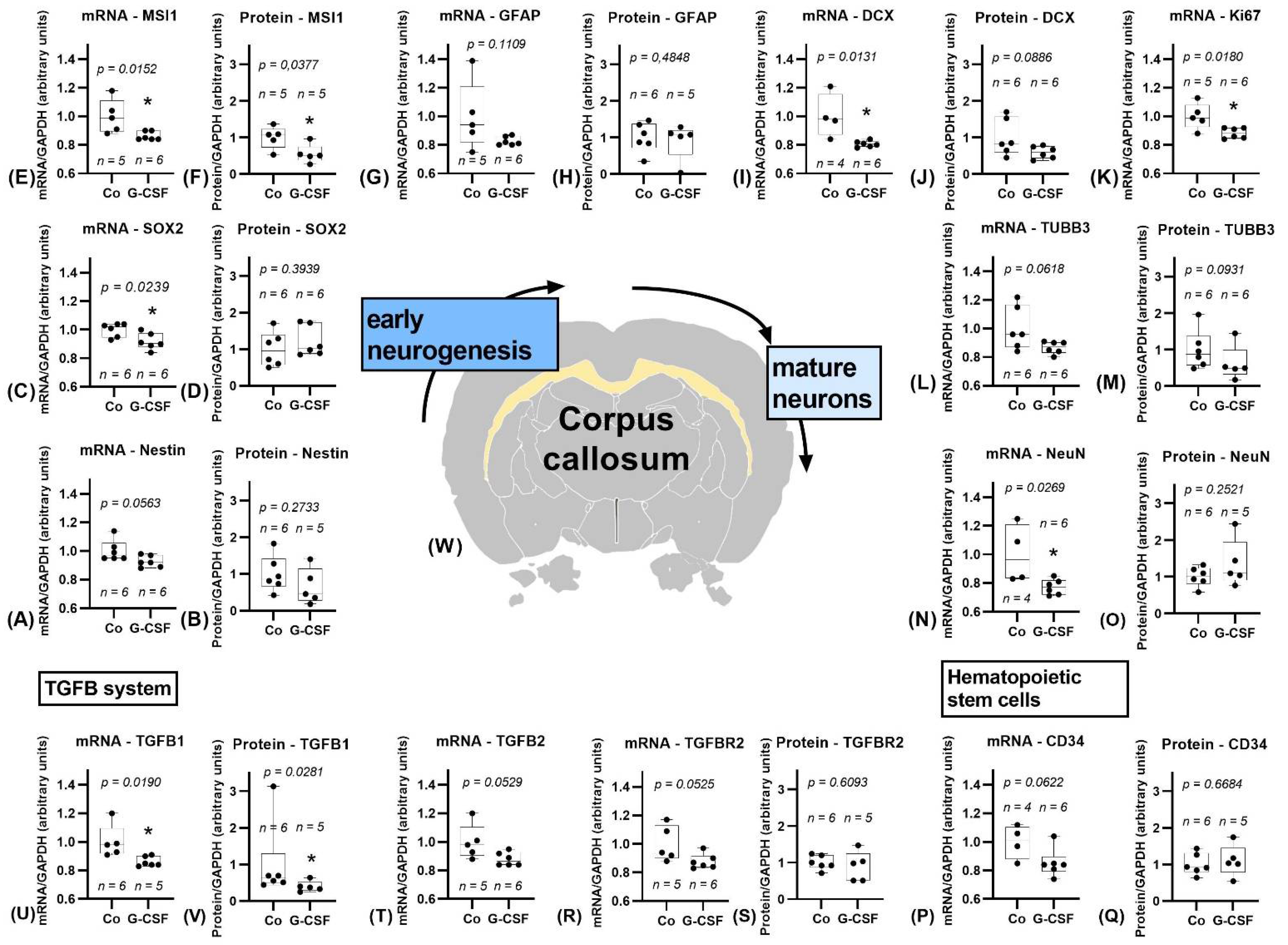 Pharmaceutics 14 01858 g005