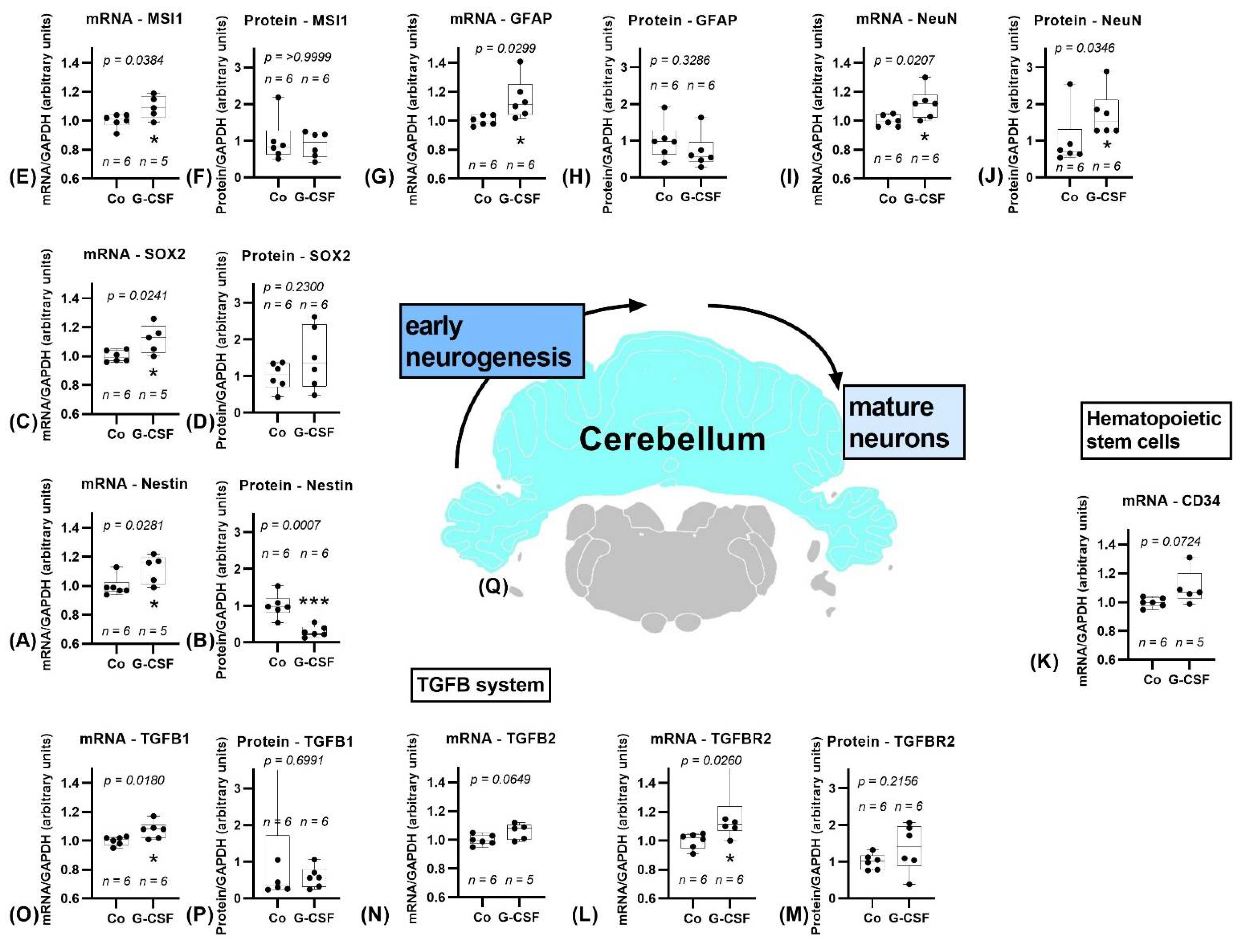 Pharmaceutics 14 01858 g006
