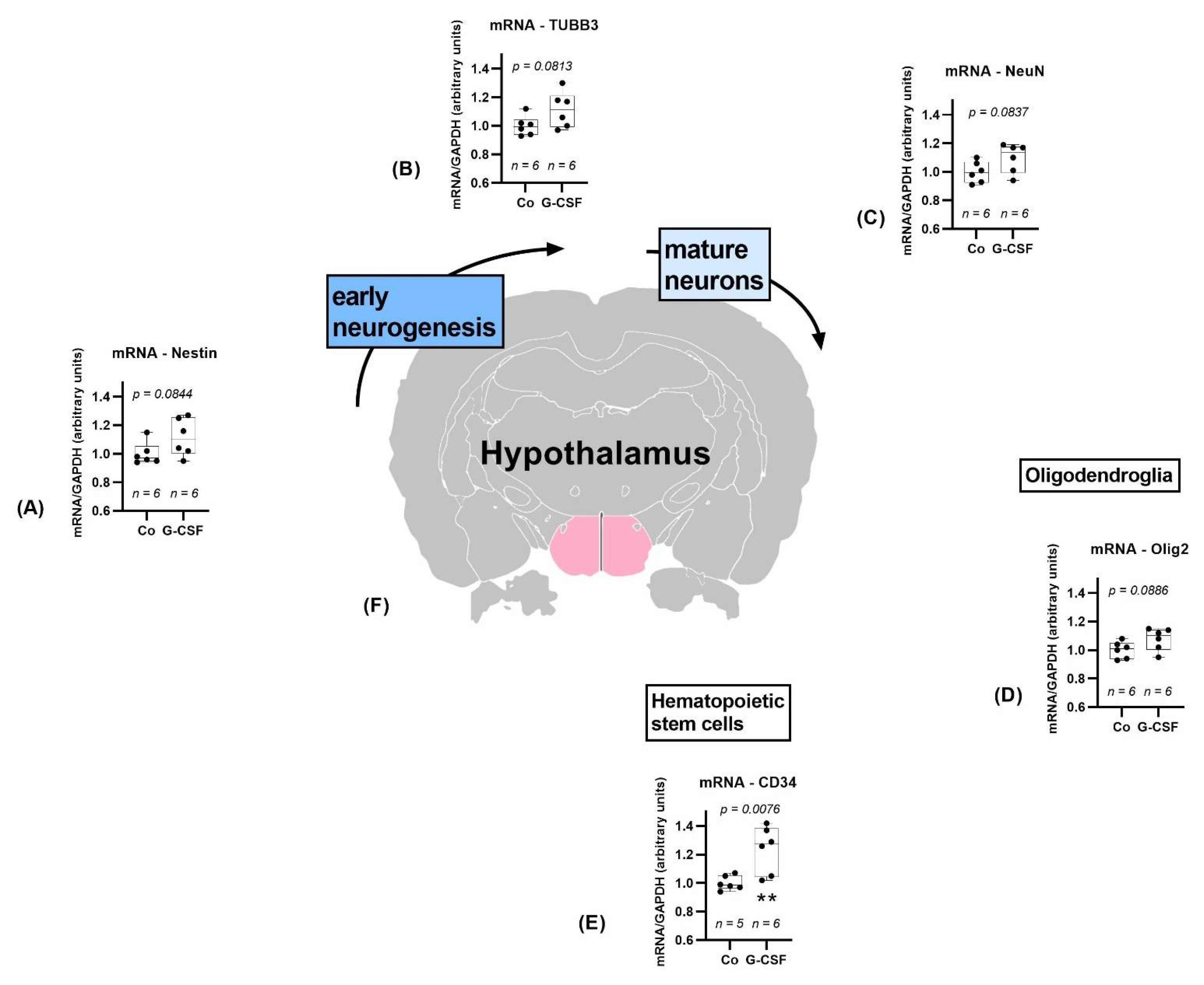 Pharmaceutics 14 01858 g007