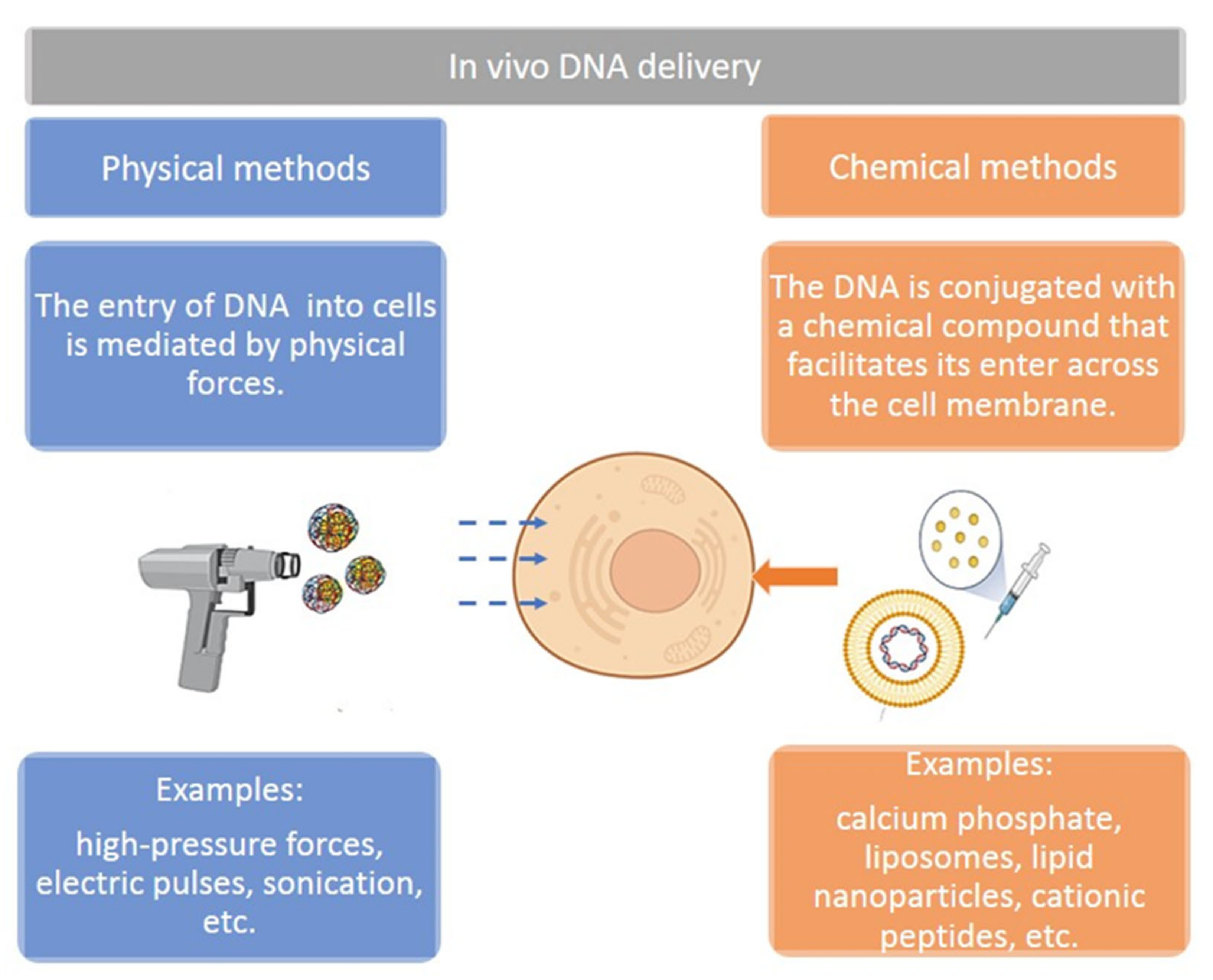 Pharmaceutics 14 01861 g004