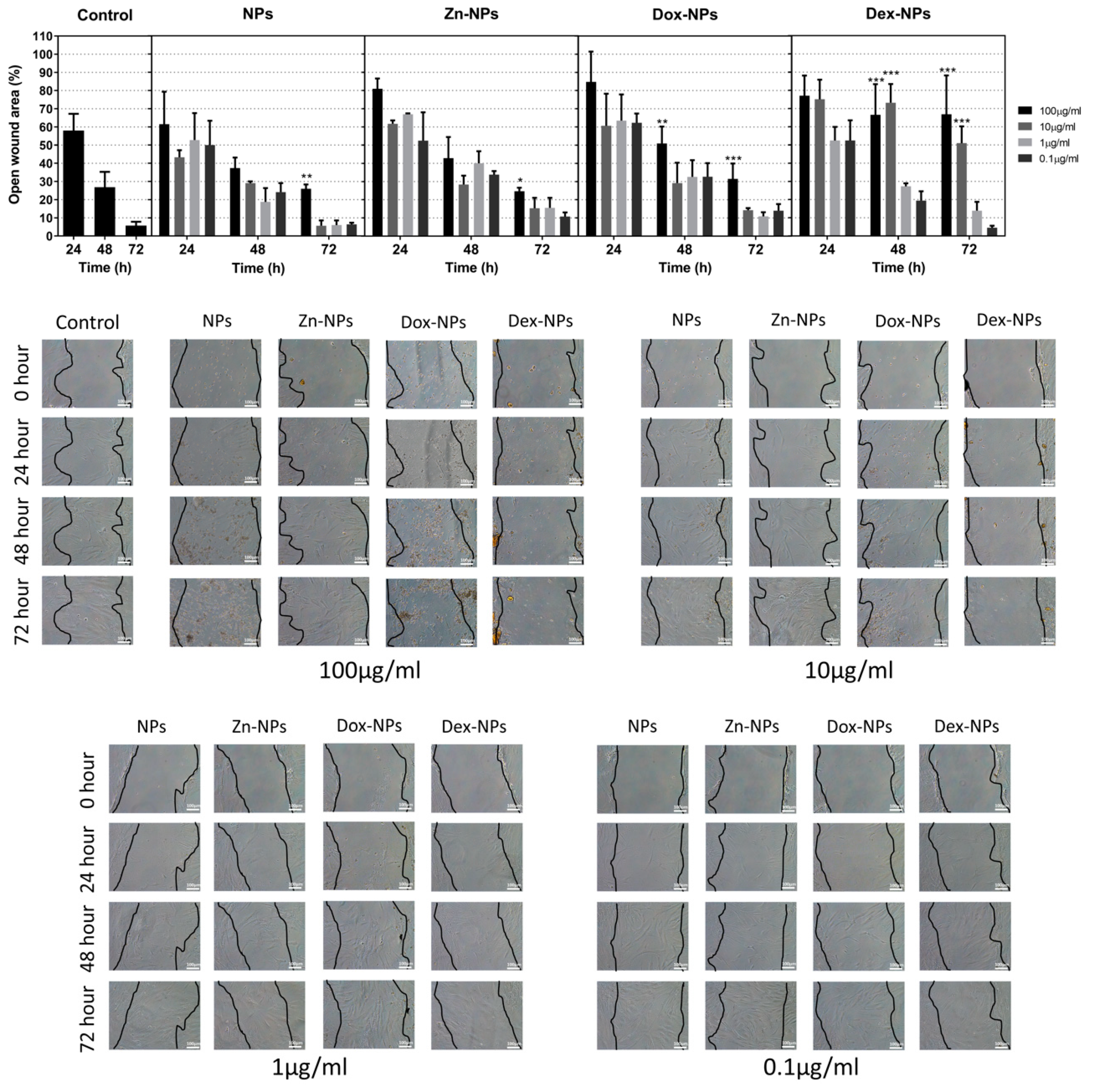 Pharmaceutics 14 01865 g003