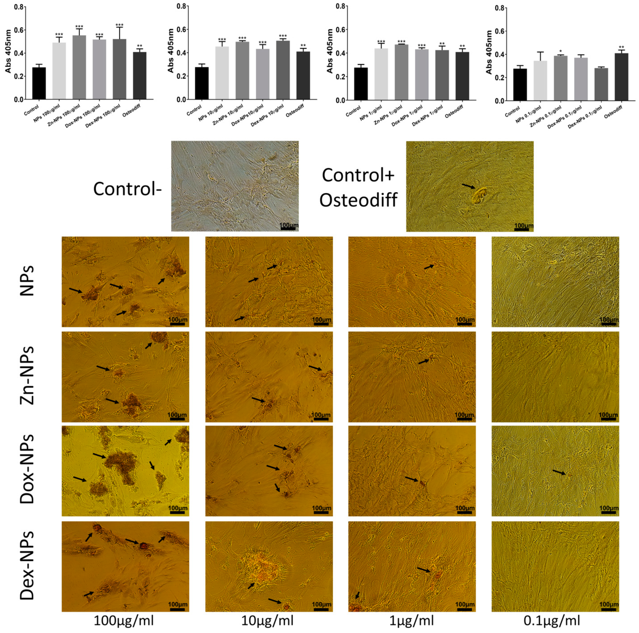 Pharmaceutics 14 01865 g006