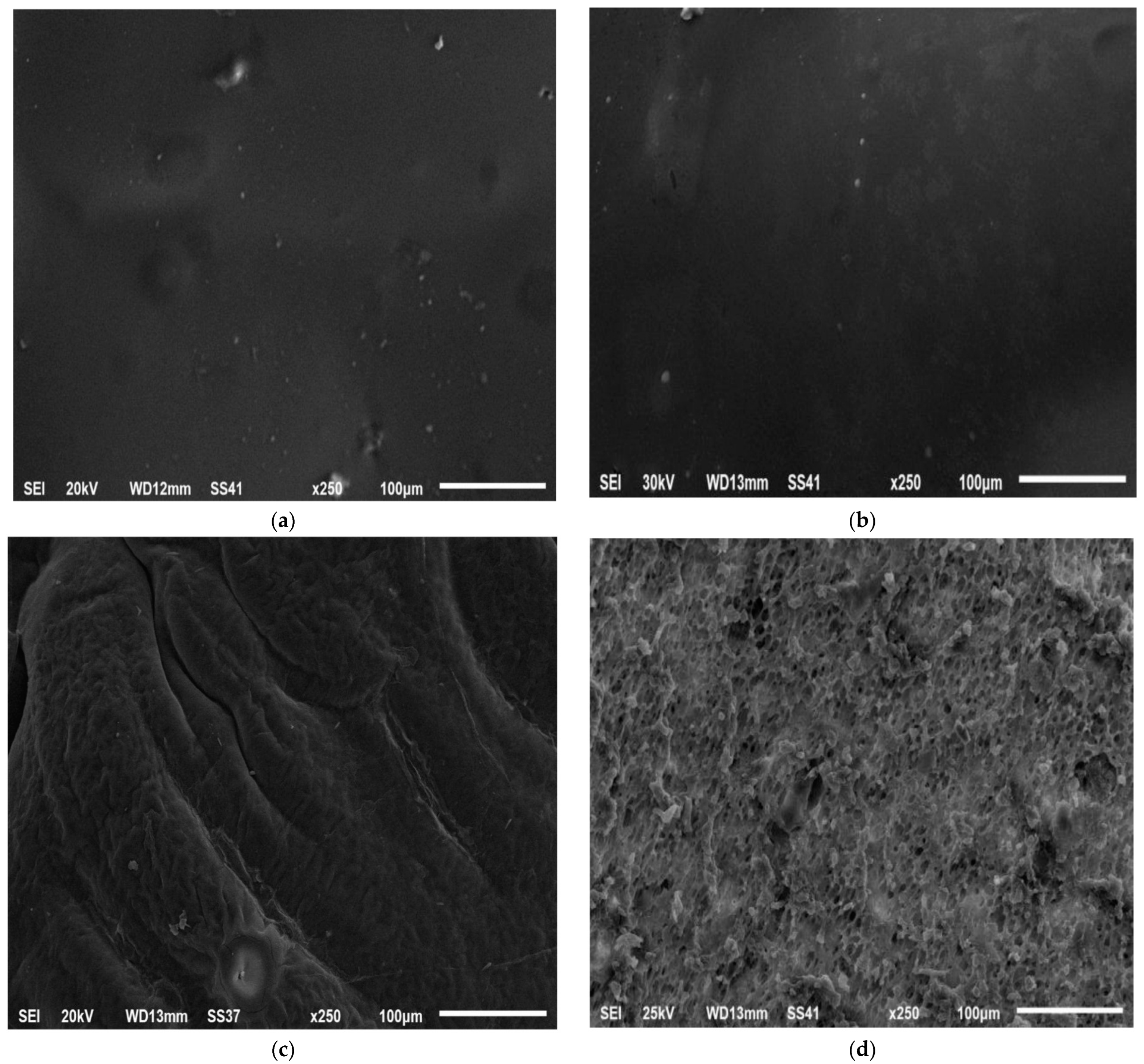 Pharmaceutics 14 01867 g008a