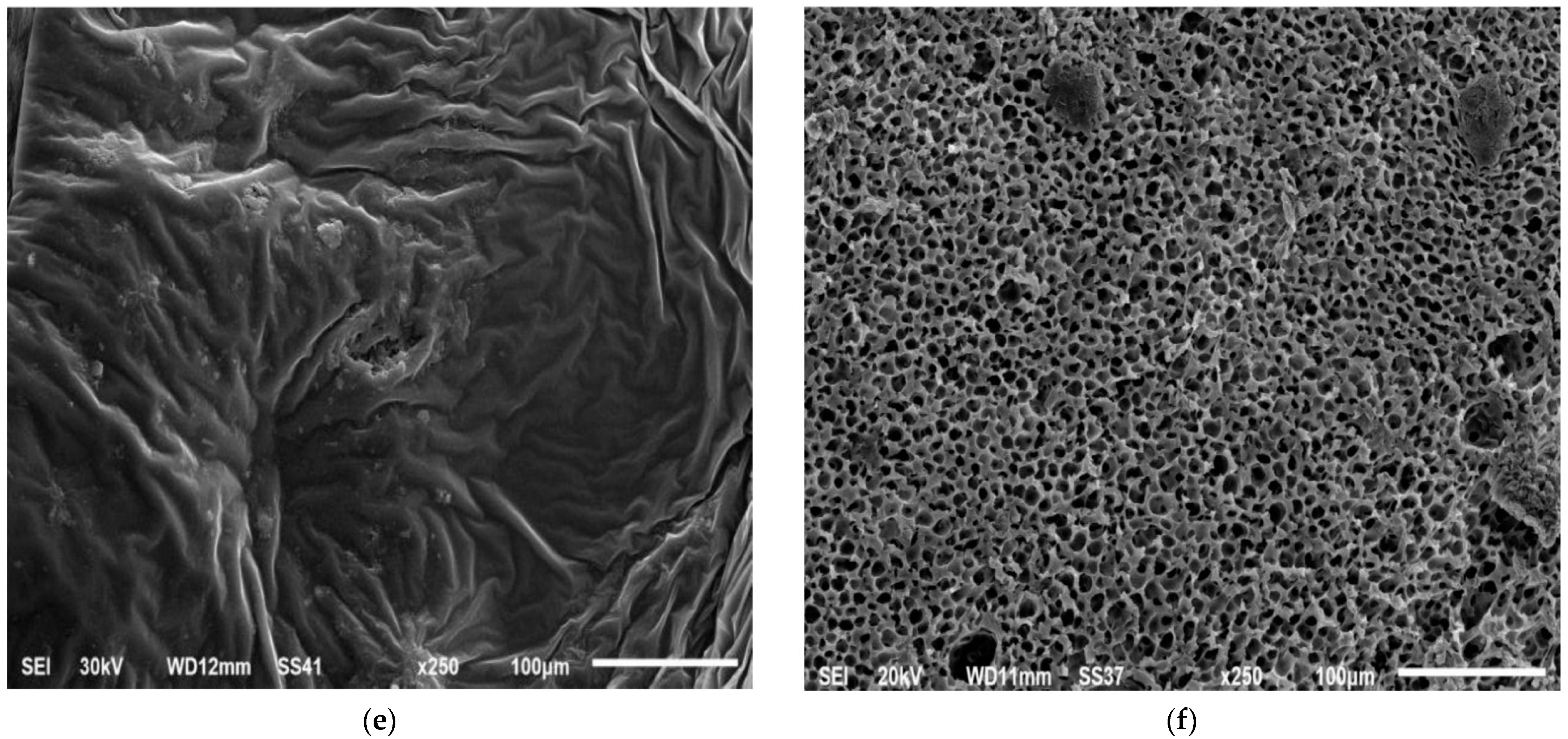 Pharmaceutics 14 01867 g008b
