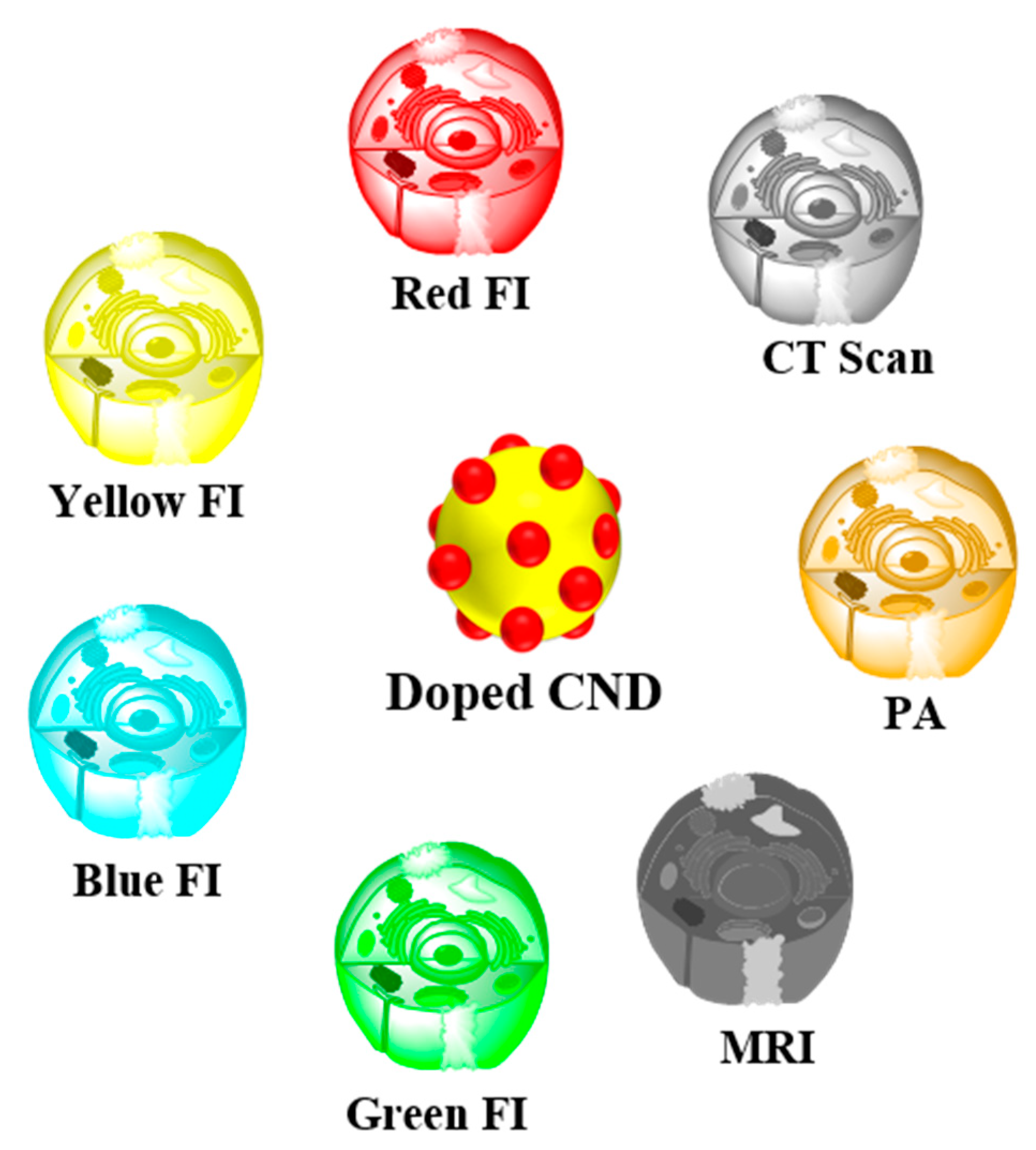 Pharmaceutics 14 01869 g003