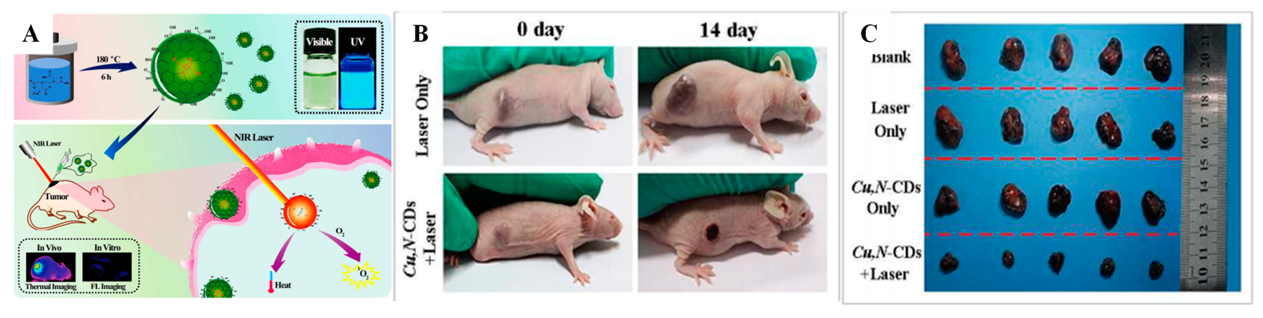 Pharmaceutics 14 01869 g006