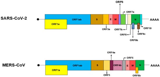 Pharmaceutics 14 01871 g001 550