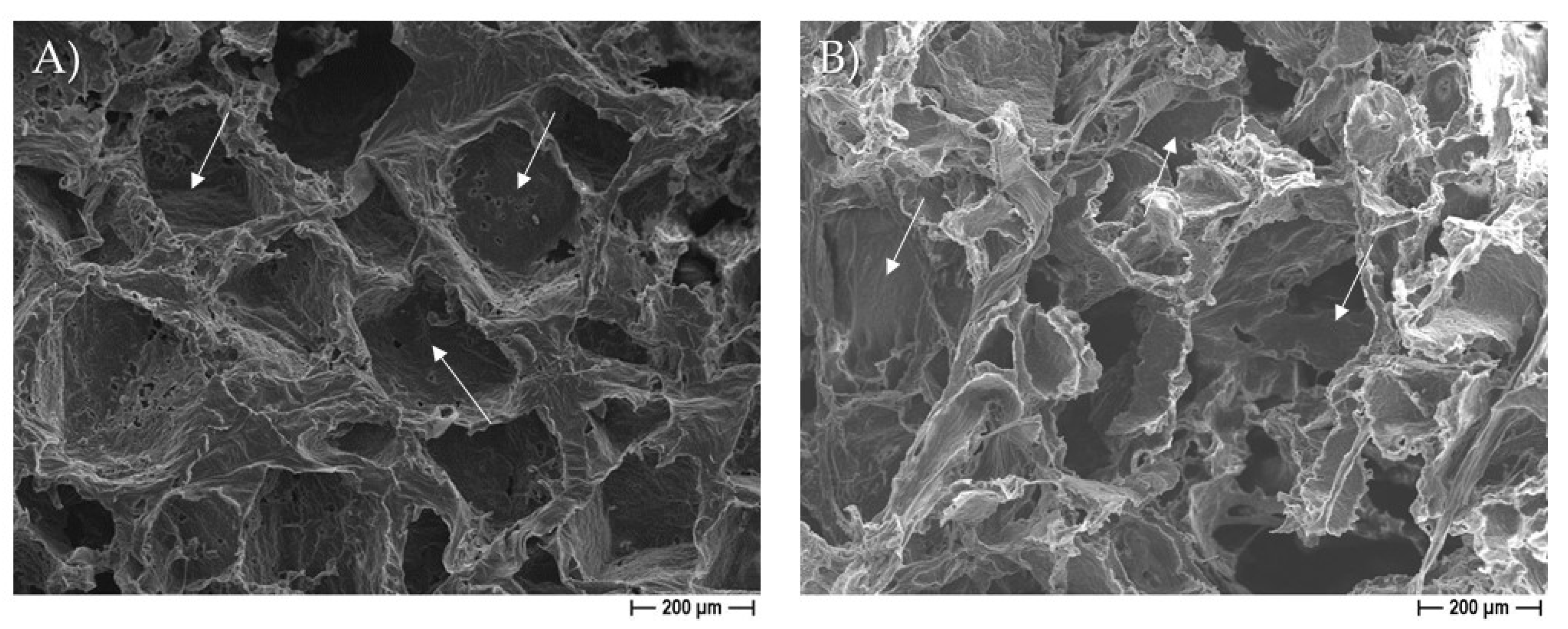 Pharmaceutics 14 01873 g003