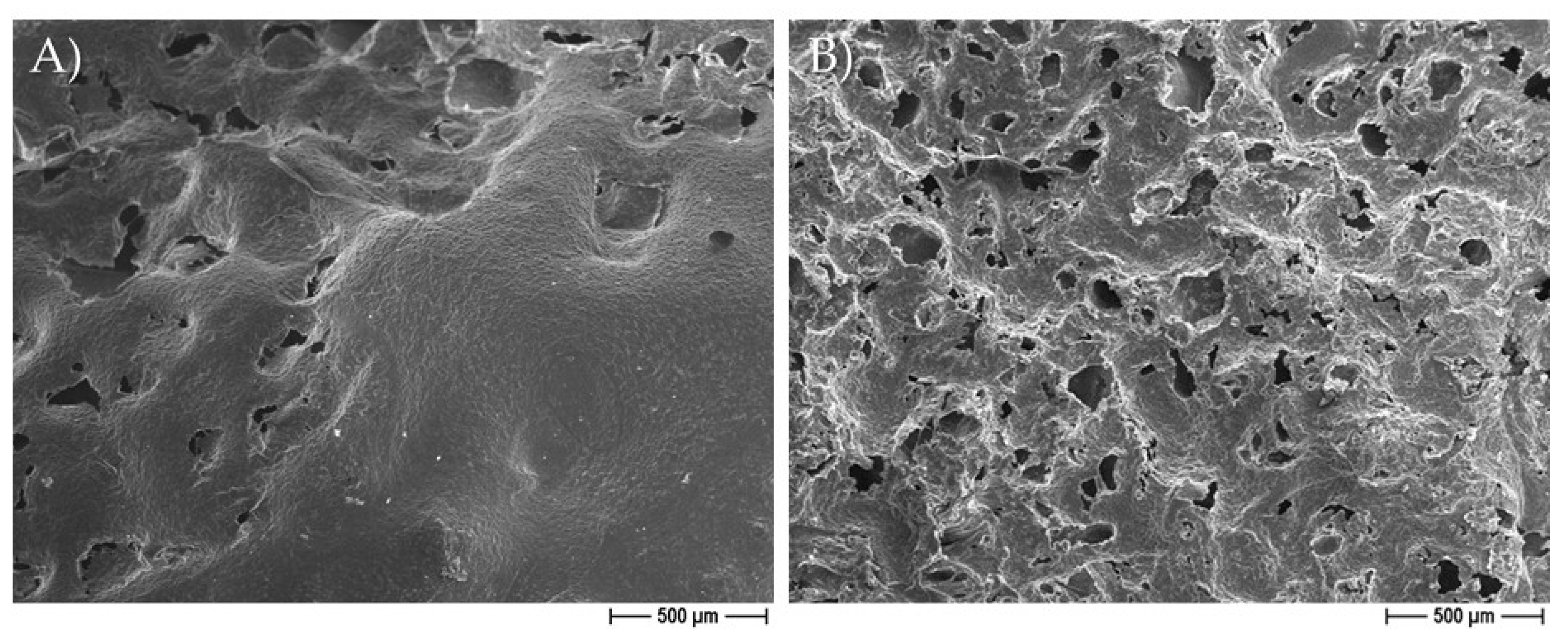 Pharmaceutics 14 01873 g004