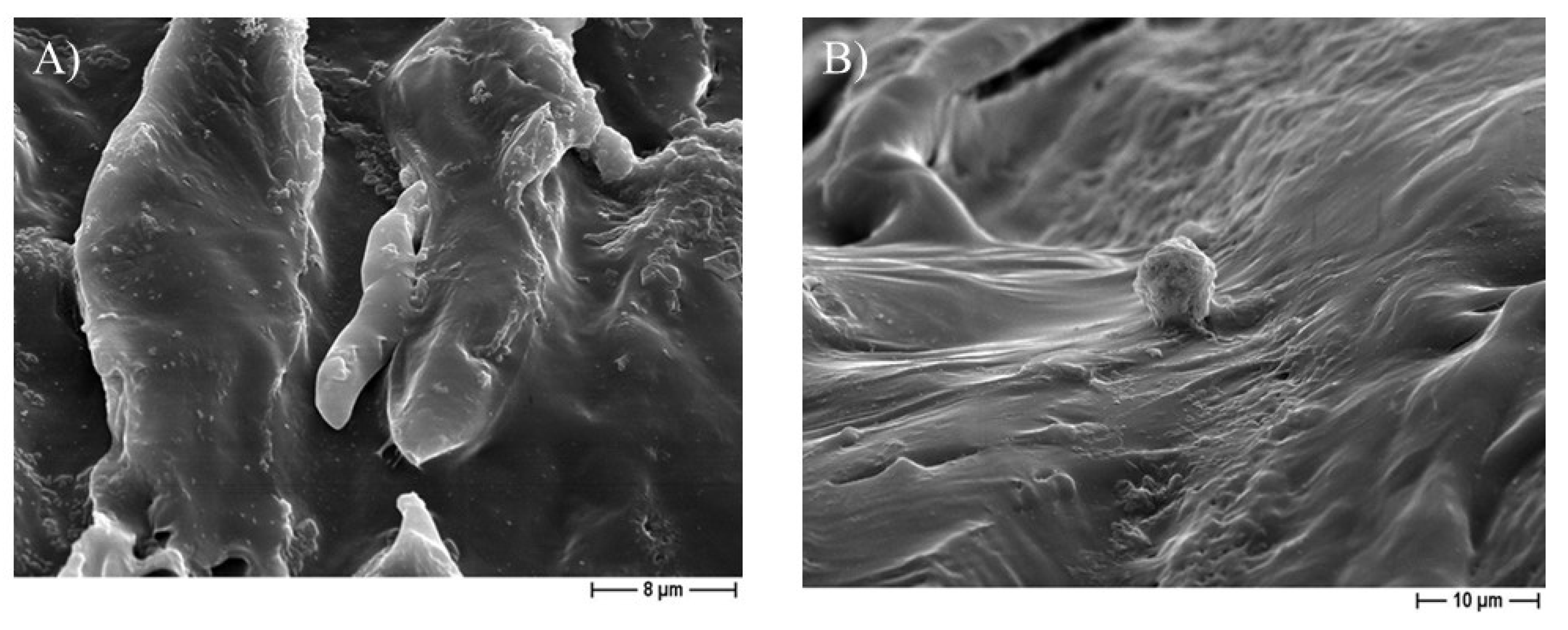 Pharmaceutics 14 01873 g007
