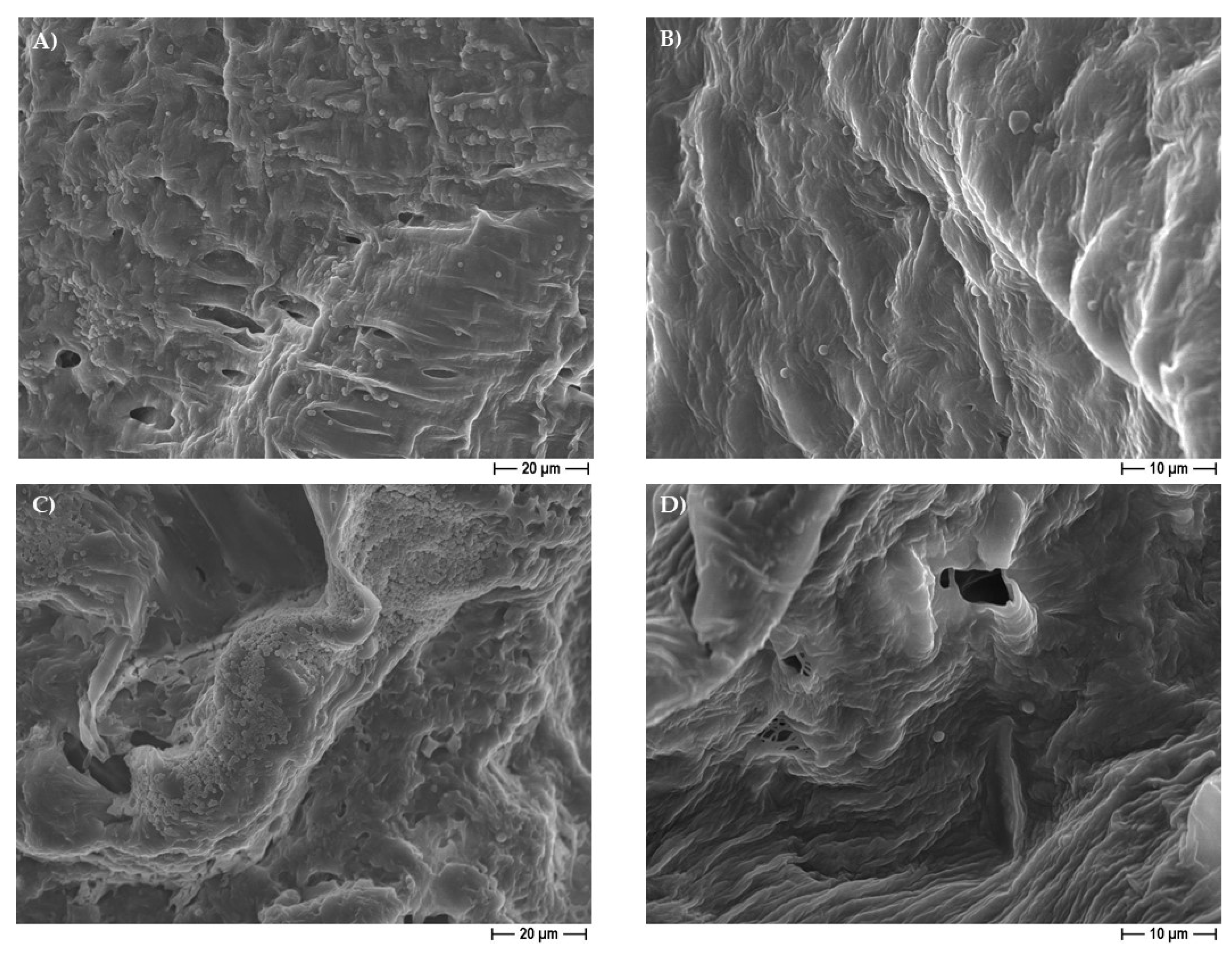 Pharmaceutics 14 01873 g012