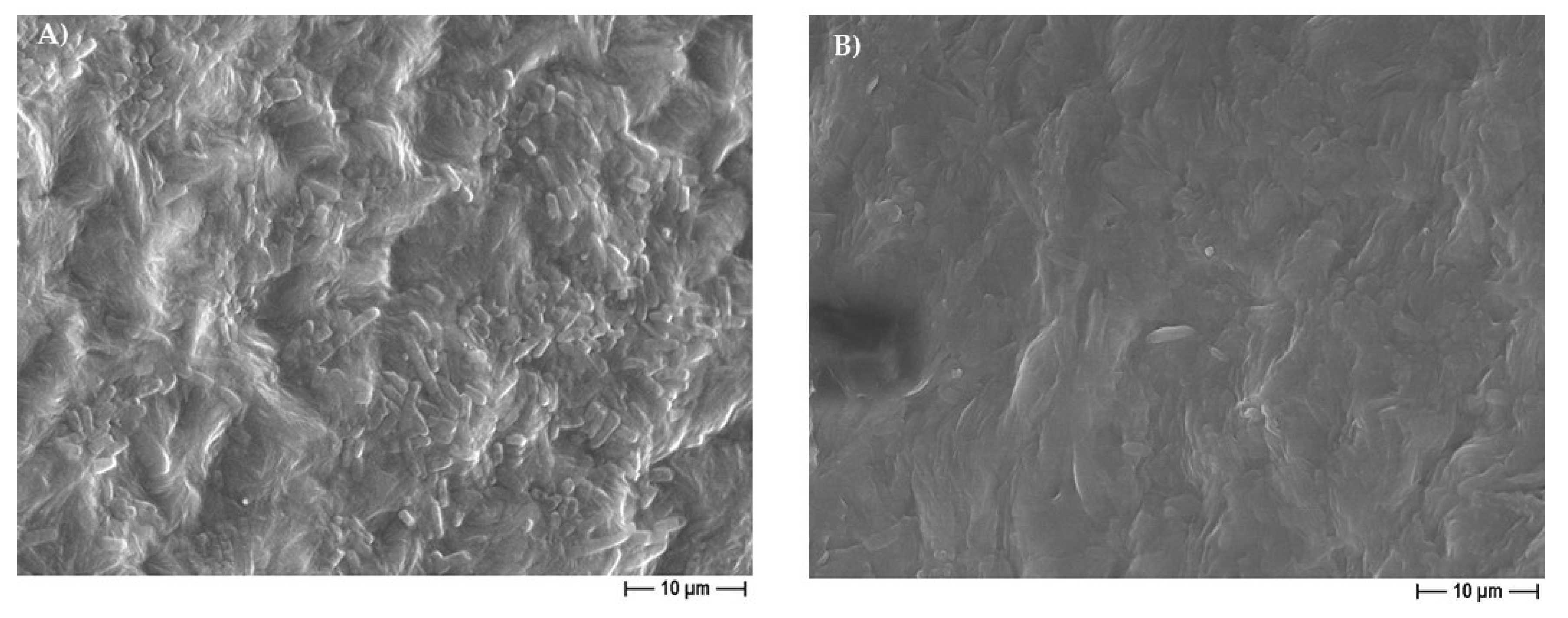 Pharmaceutics 14 01873 g013