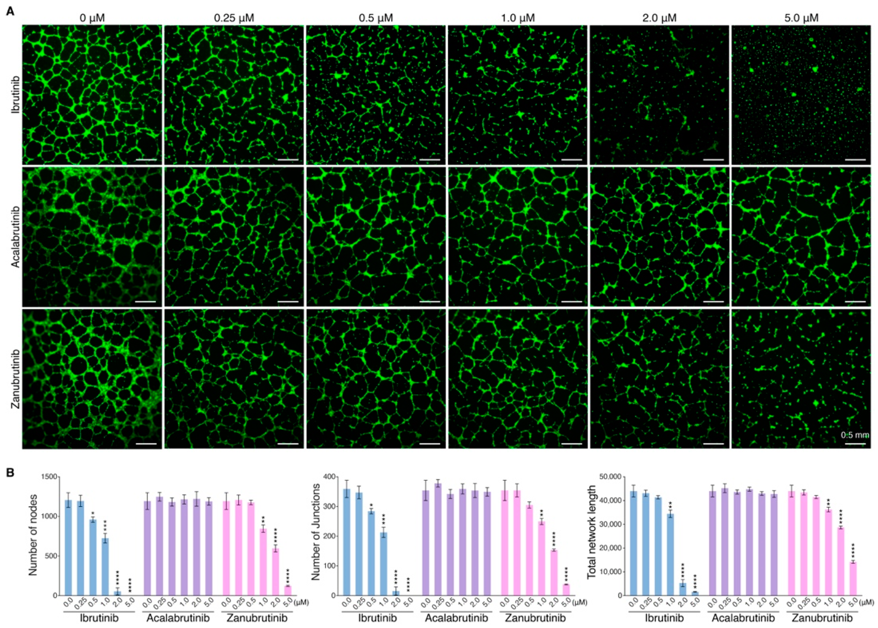 Pharmaceutics 14 01876 g003