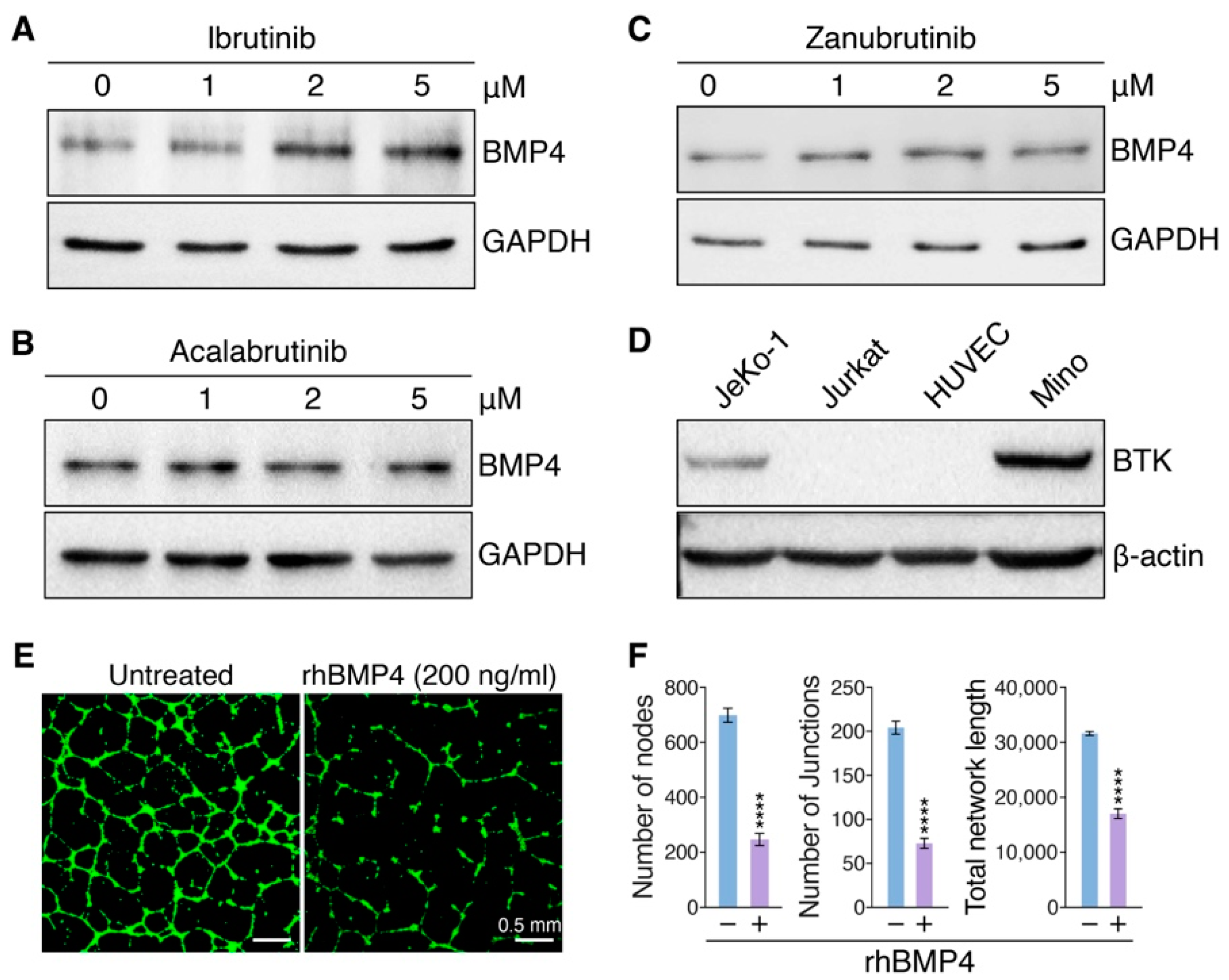 Pharmaceutics 14 01876 g004