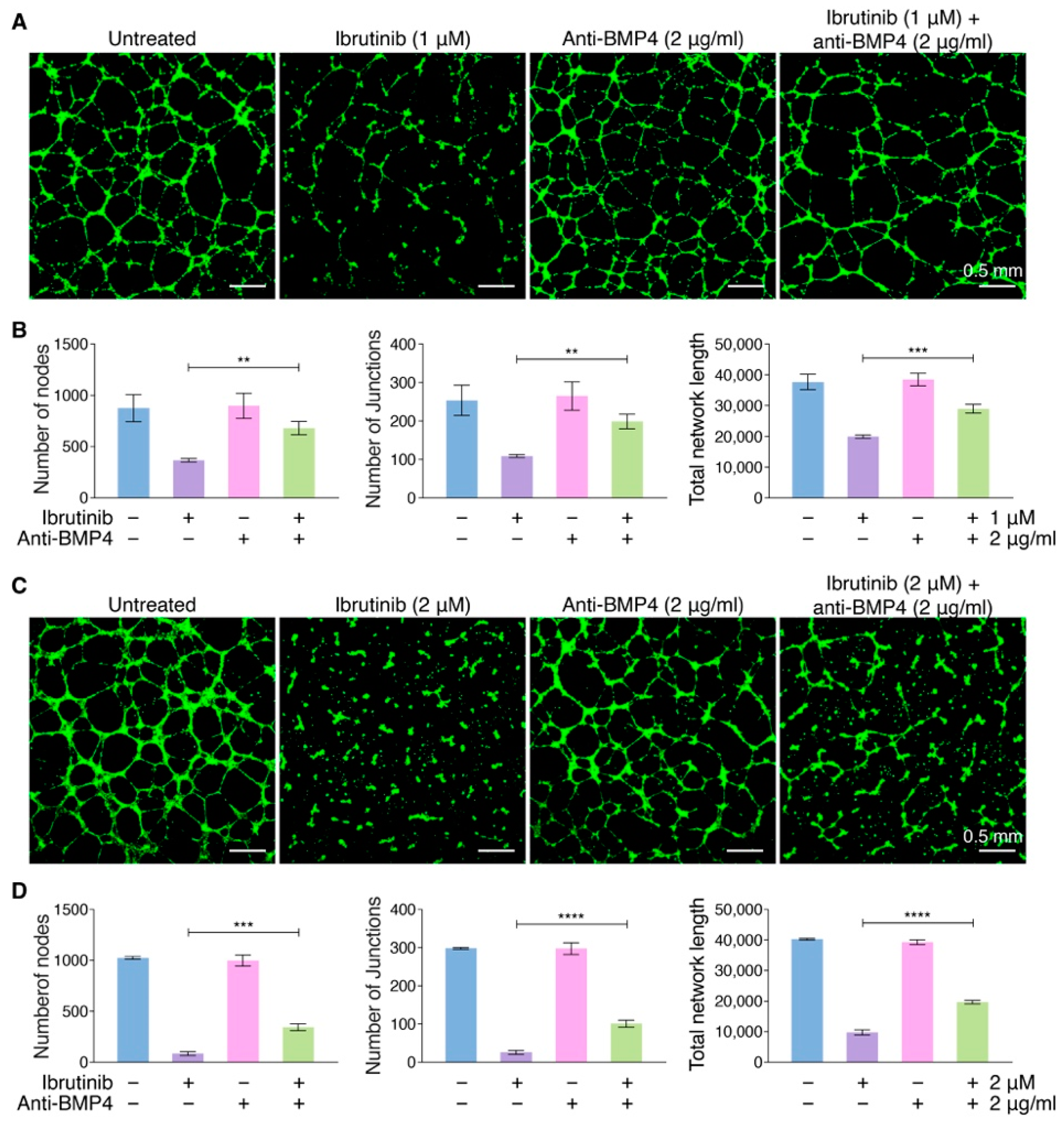 Pharmaceutics 14 01876 g005