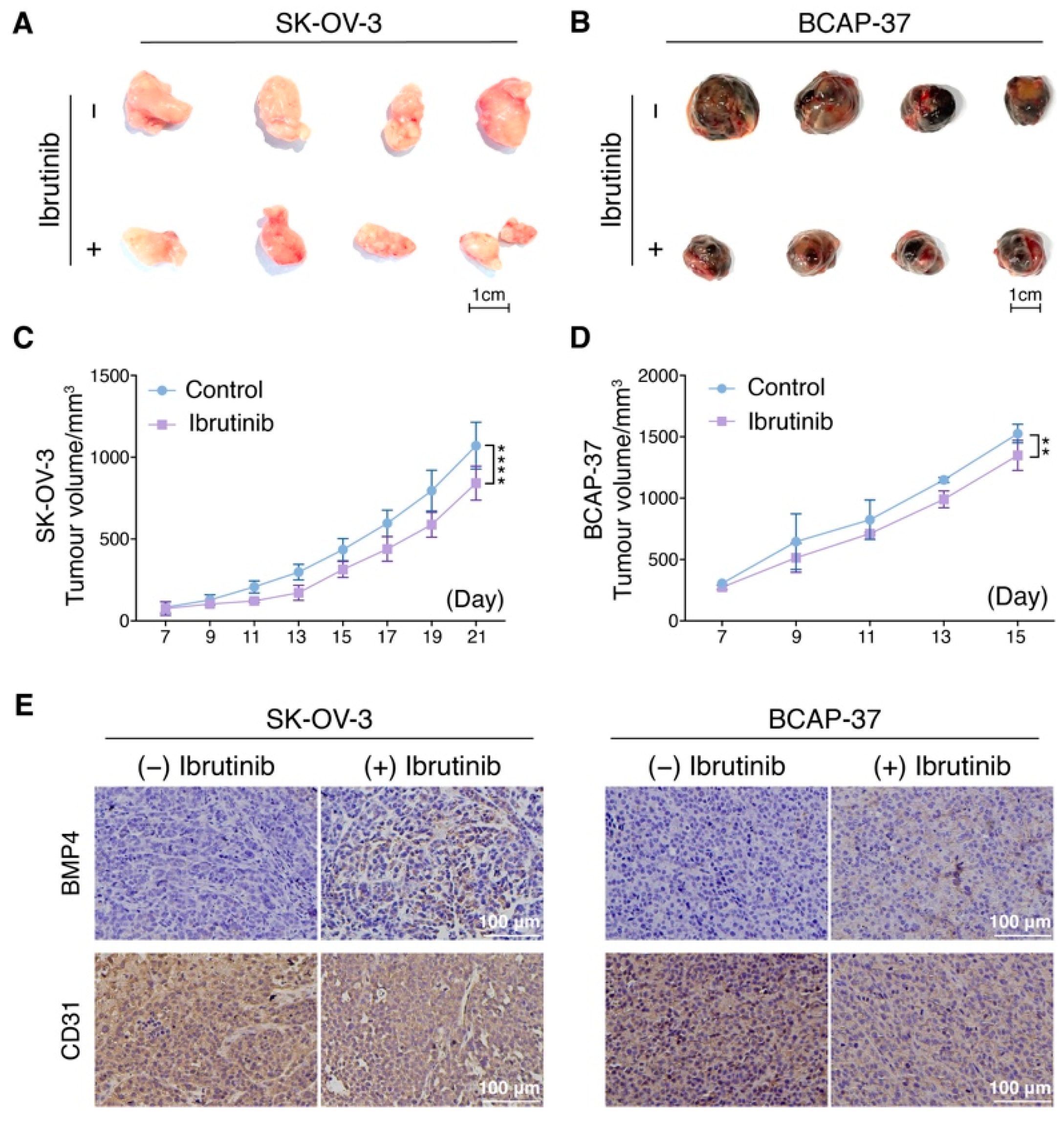 Pharmaceutics 14 01876 g006