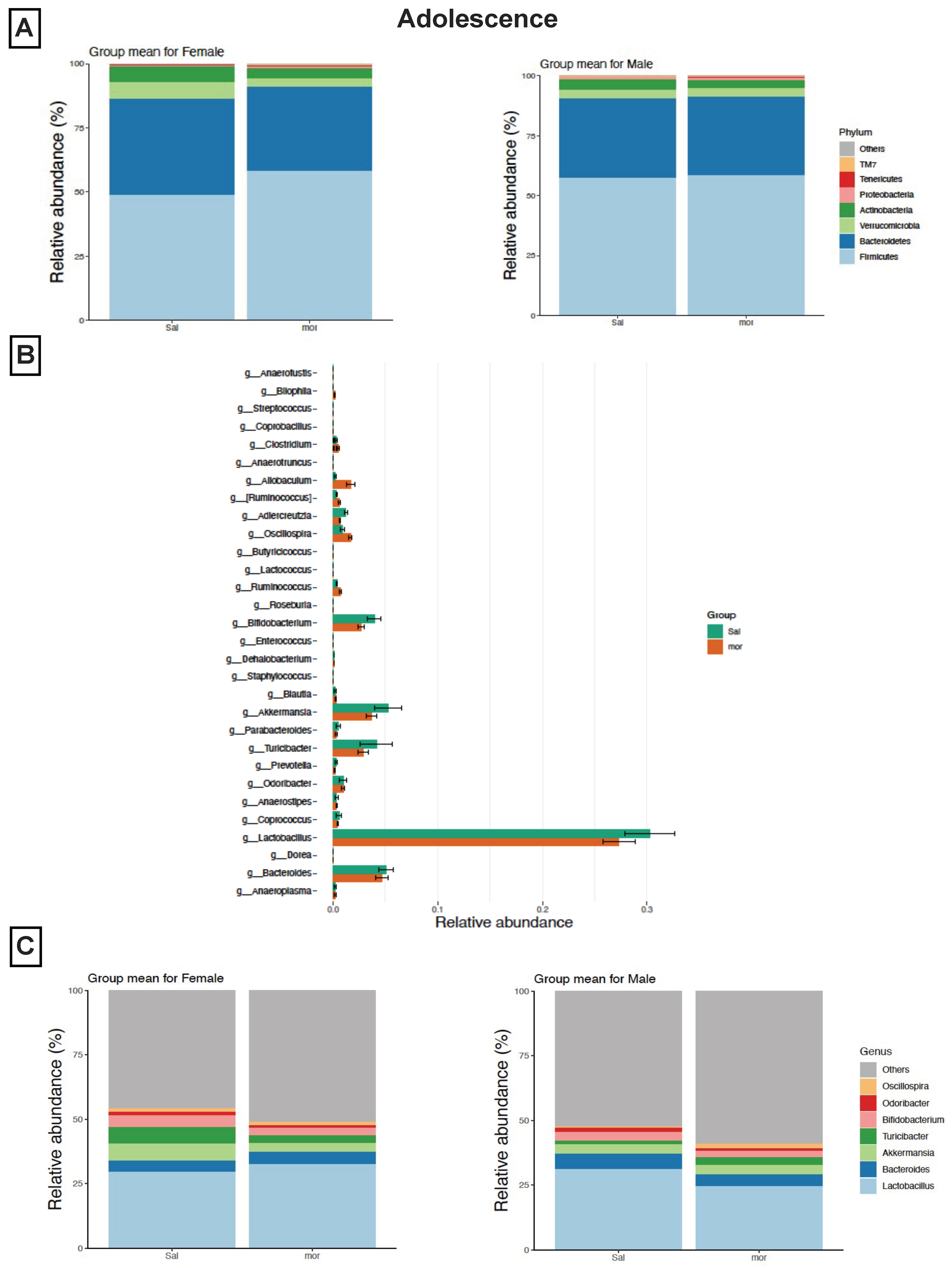 Pharmaceutics 14 01879 g002