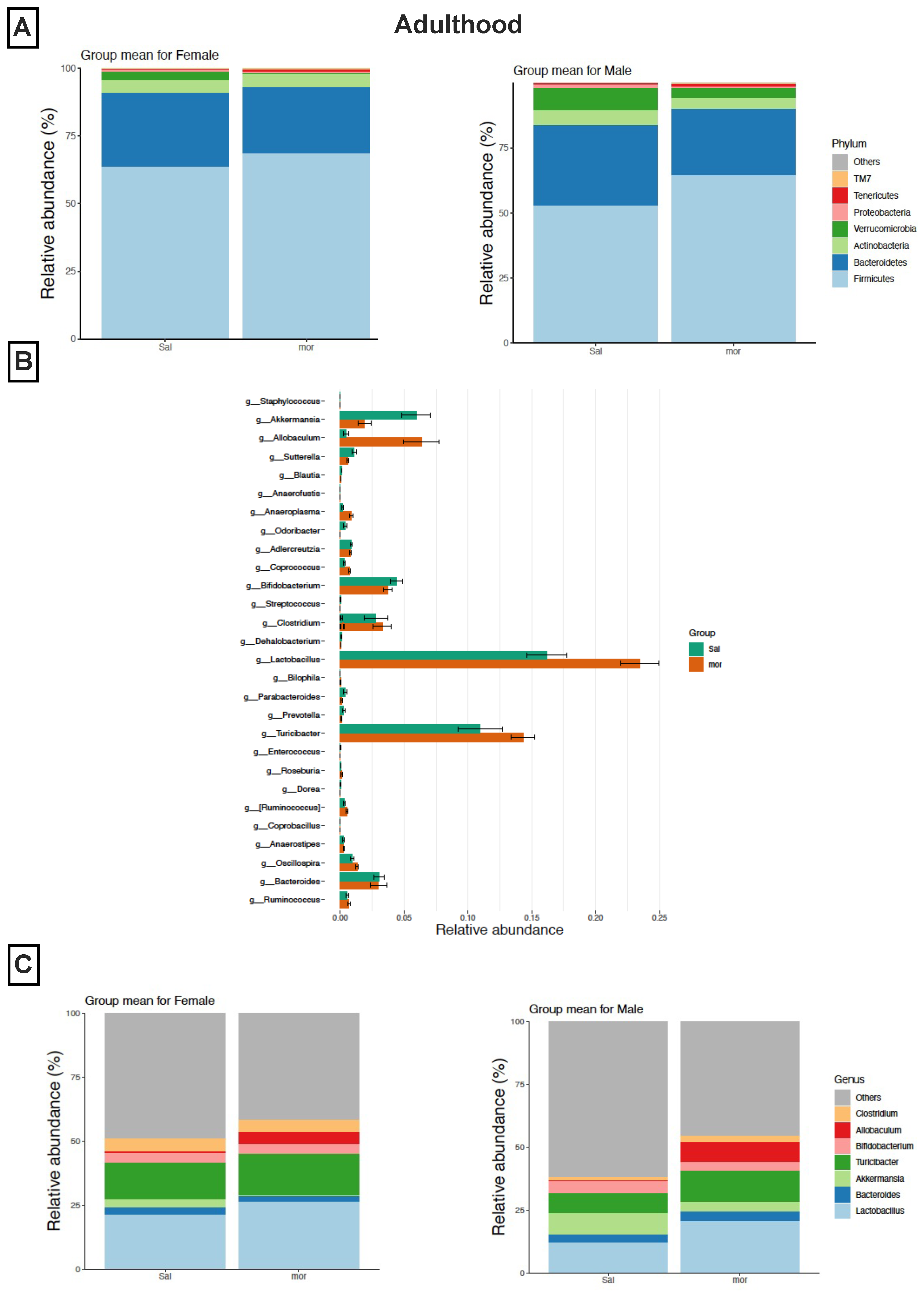 Pharmaceutics 14 01879 g003