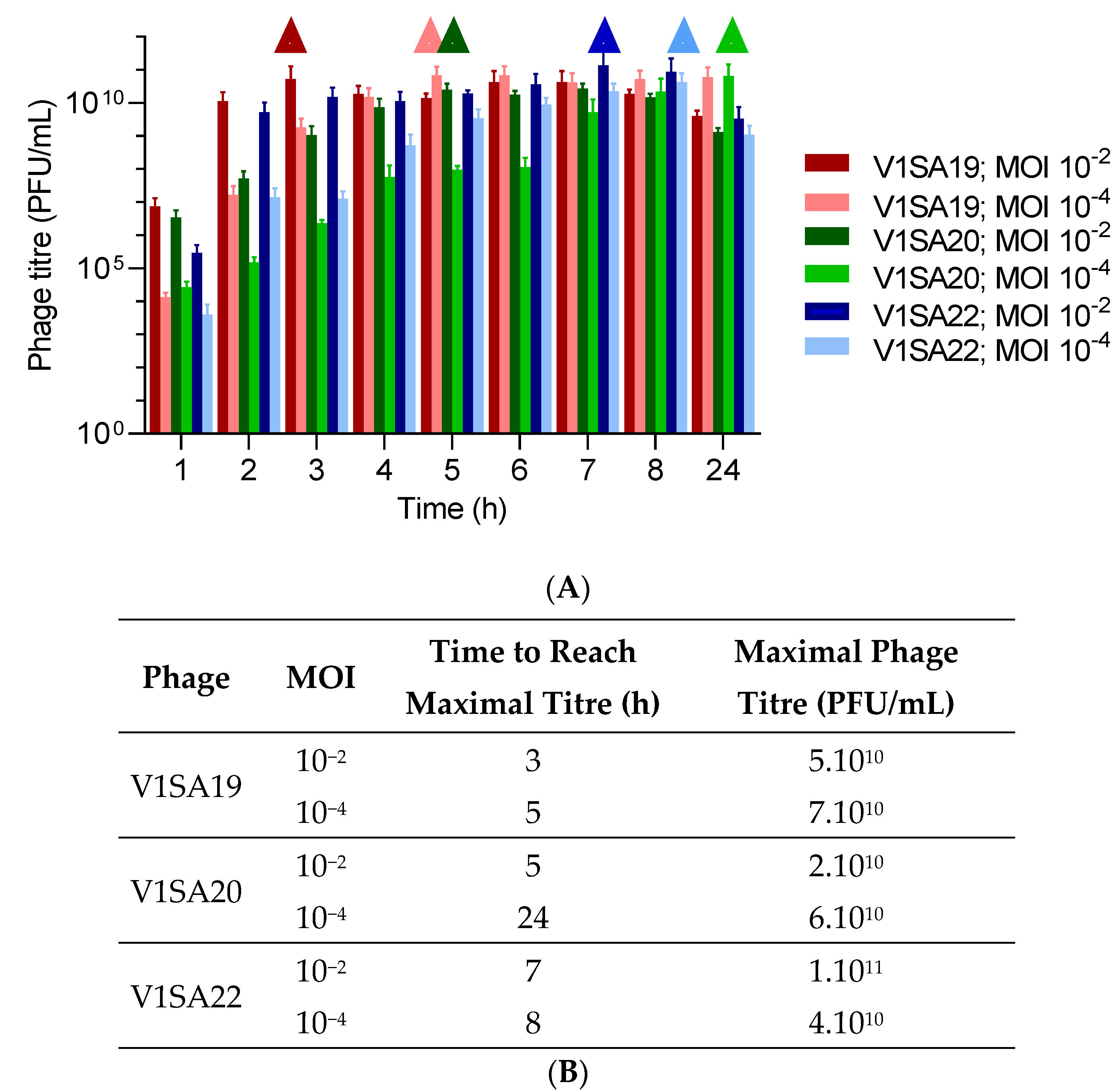 Pharmaceutics 14 01885 g003