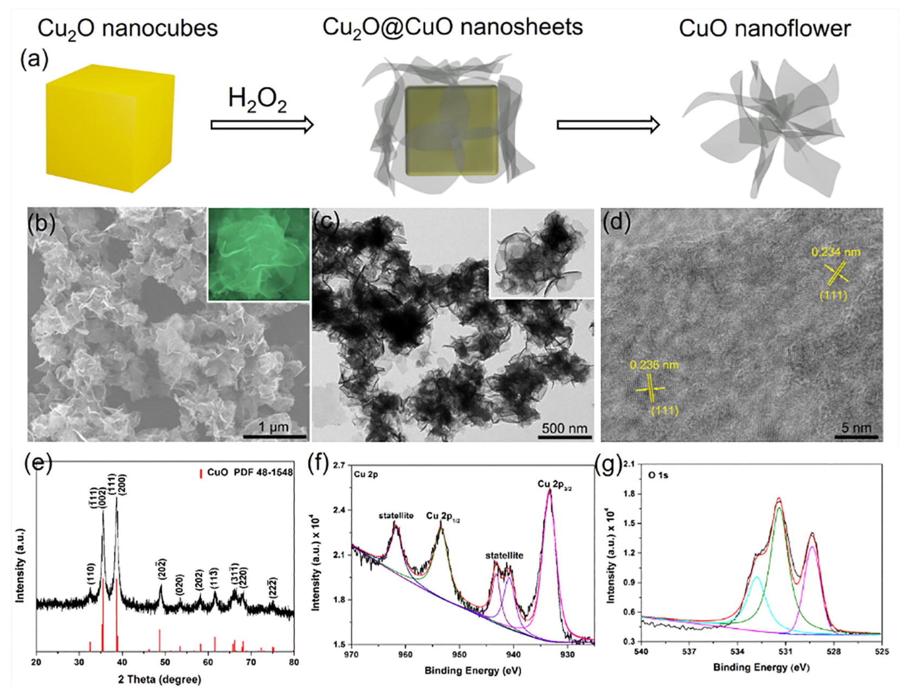 Pharmaceutics 14 01887 g003