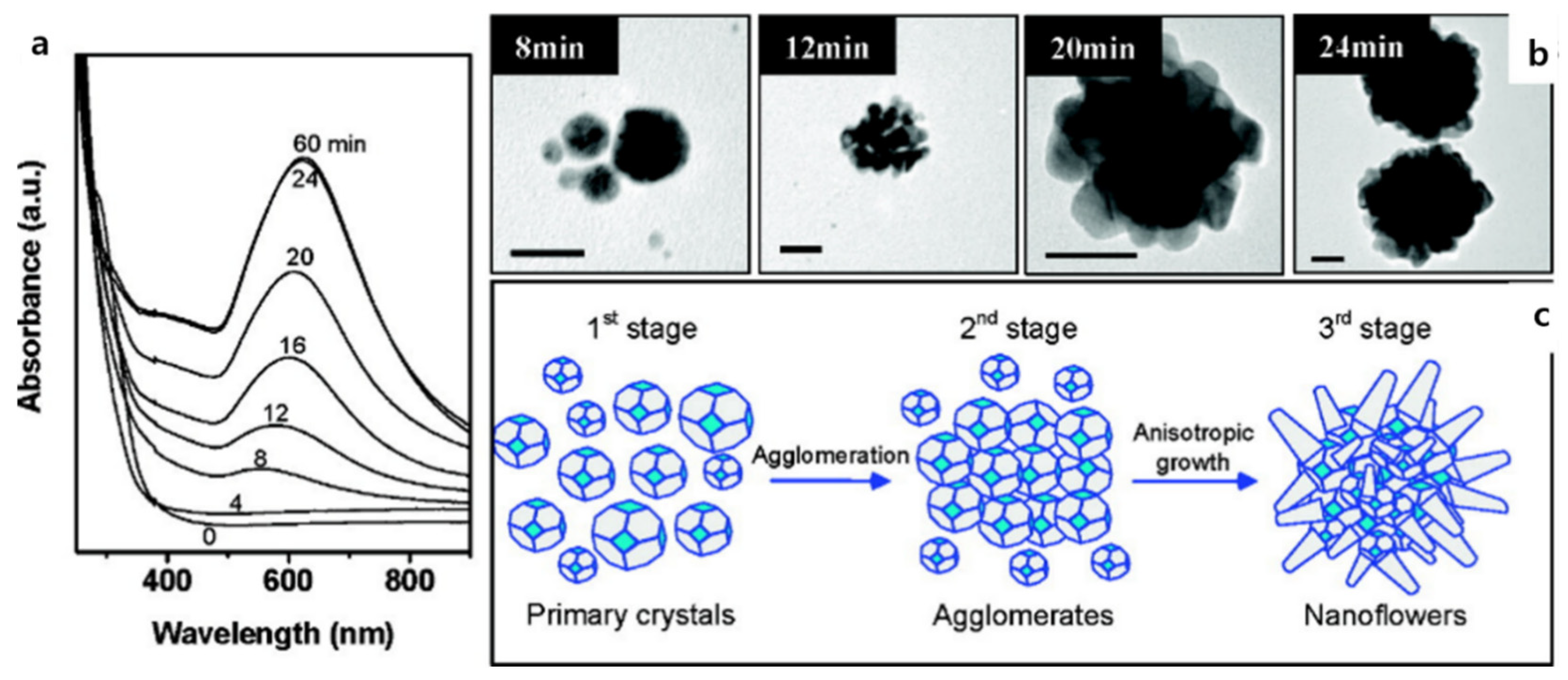 Pharmaceutics 14 01887 g005