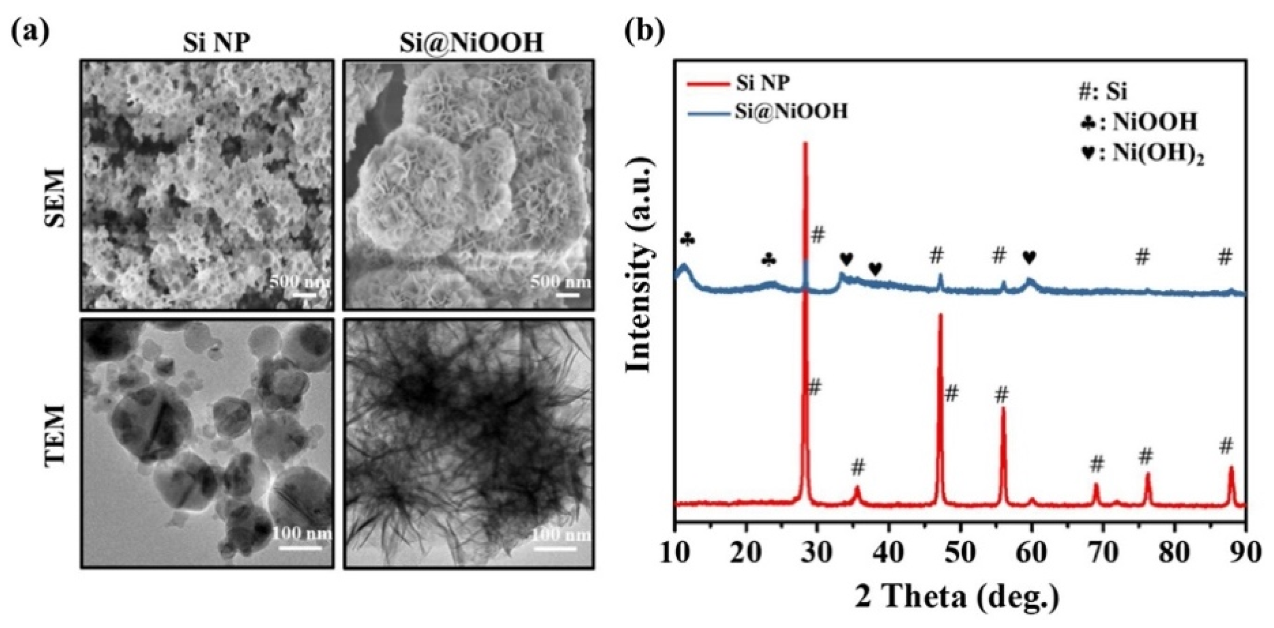 Pharmaceutics 14 01887 g007