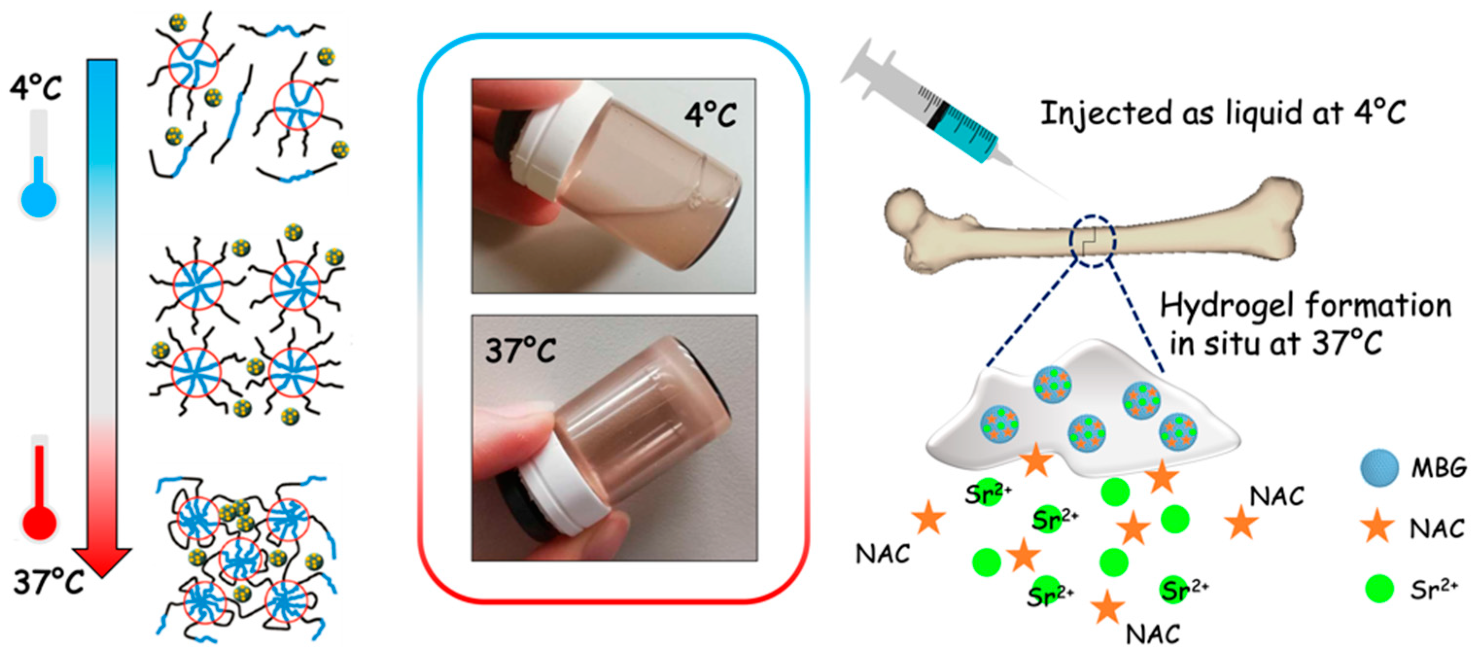 Pharmaceutics 14 01890 g001