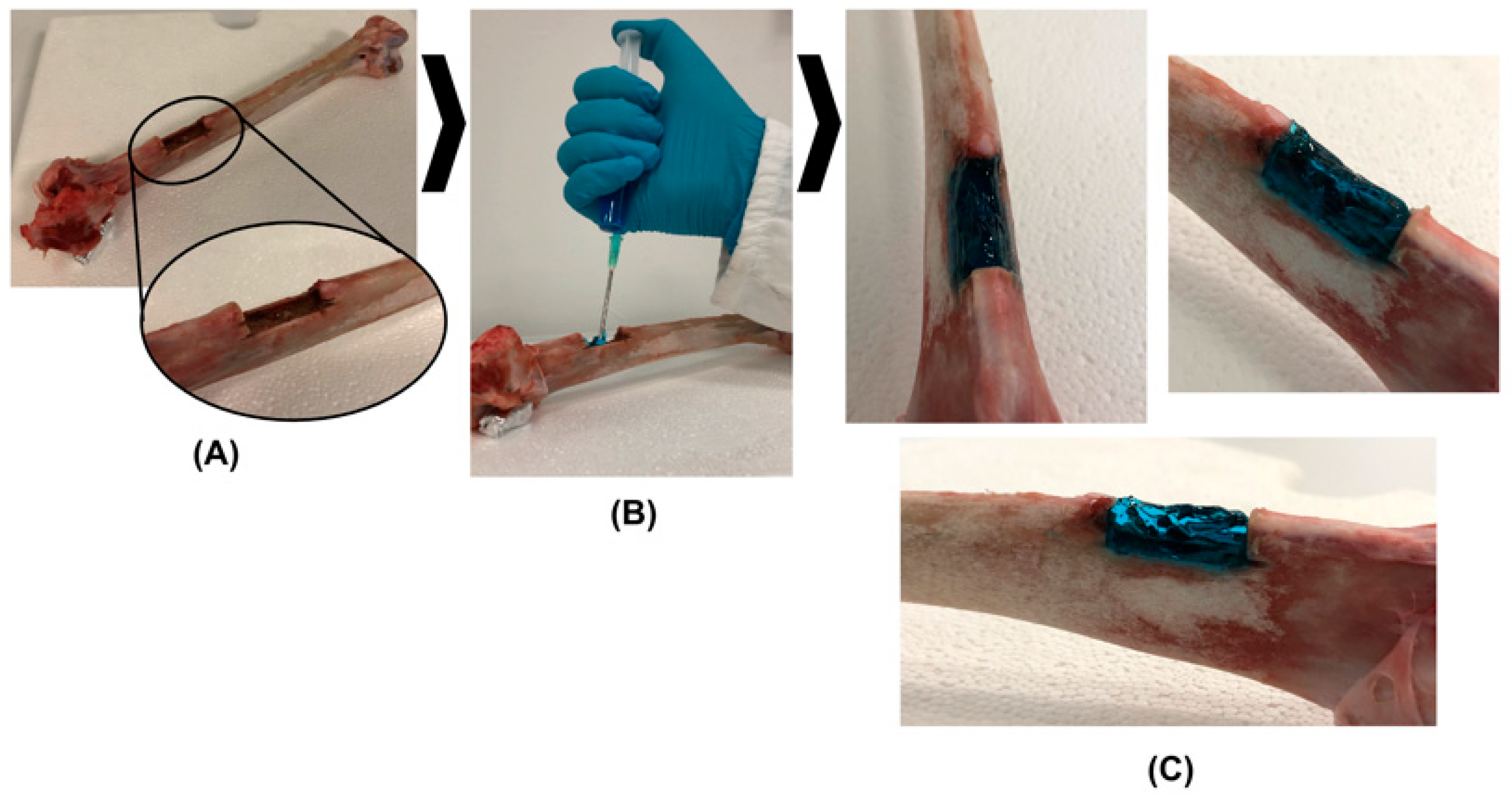 Pharmaceutics 14 01890 g003