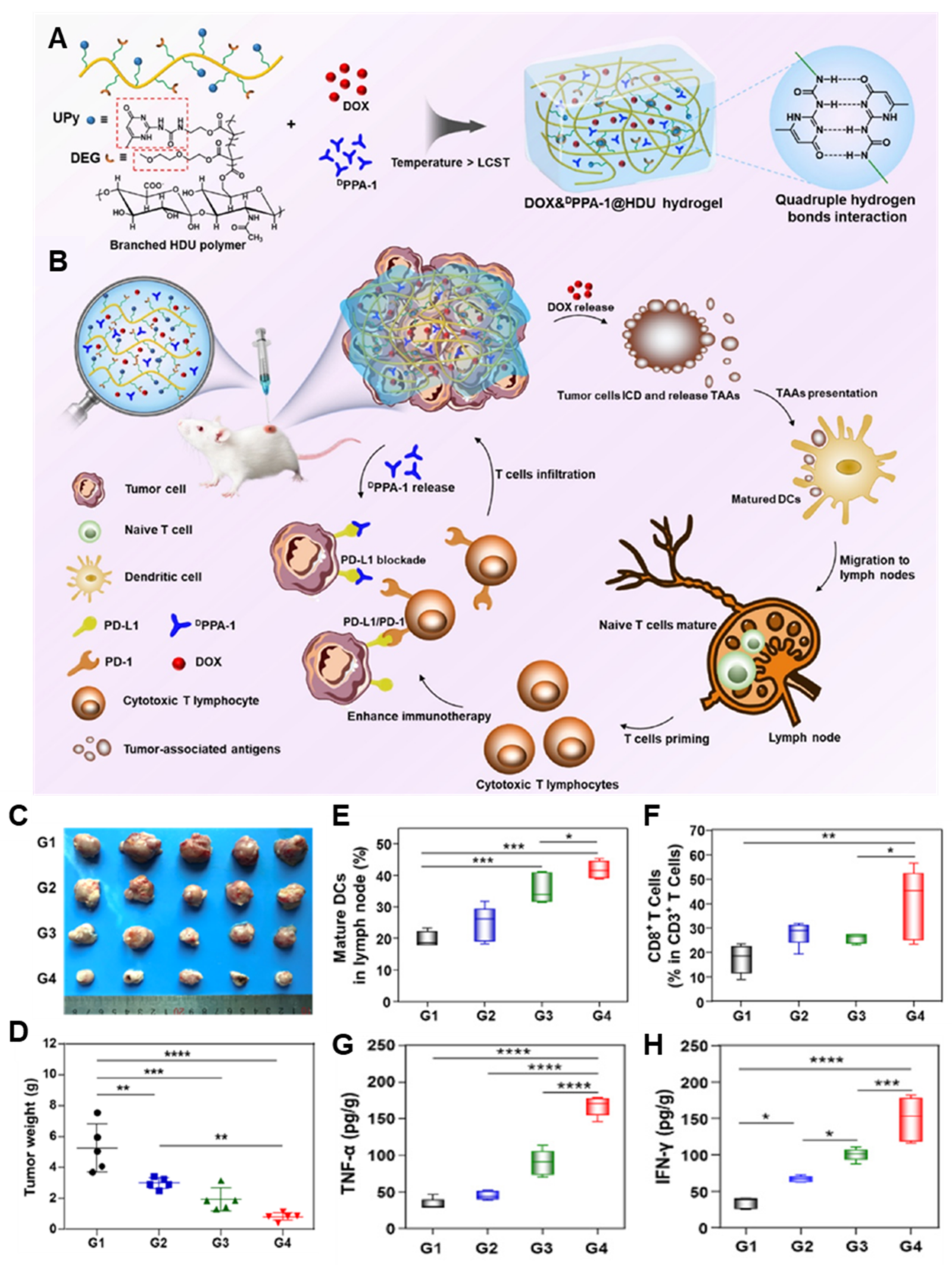 Pharmaceutics 14 01908 g001