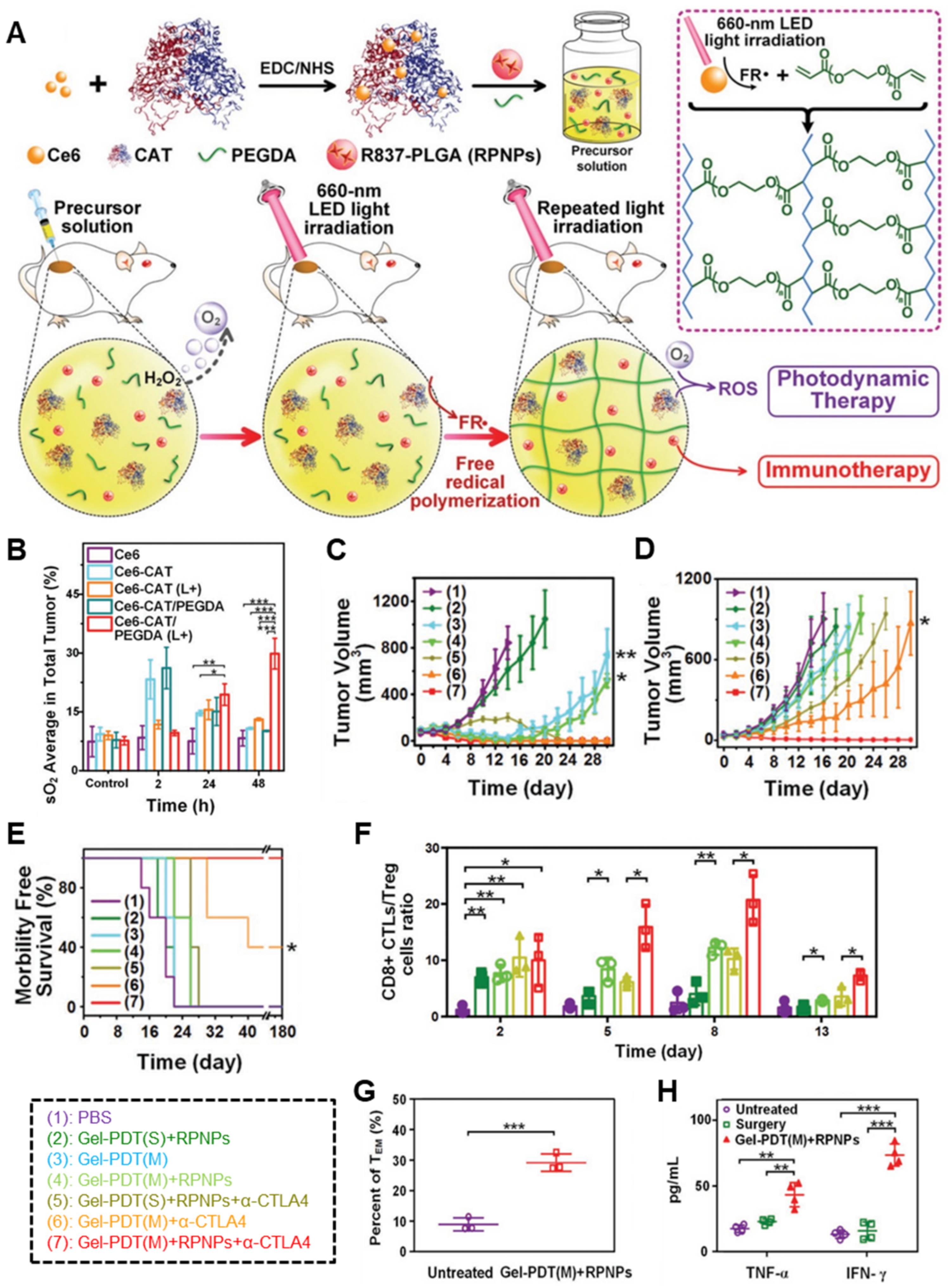 Pharmaceutics 14 01908 g003