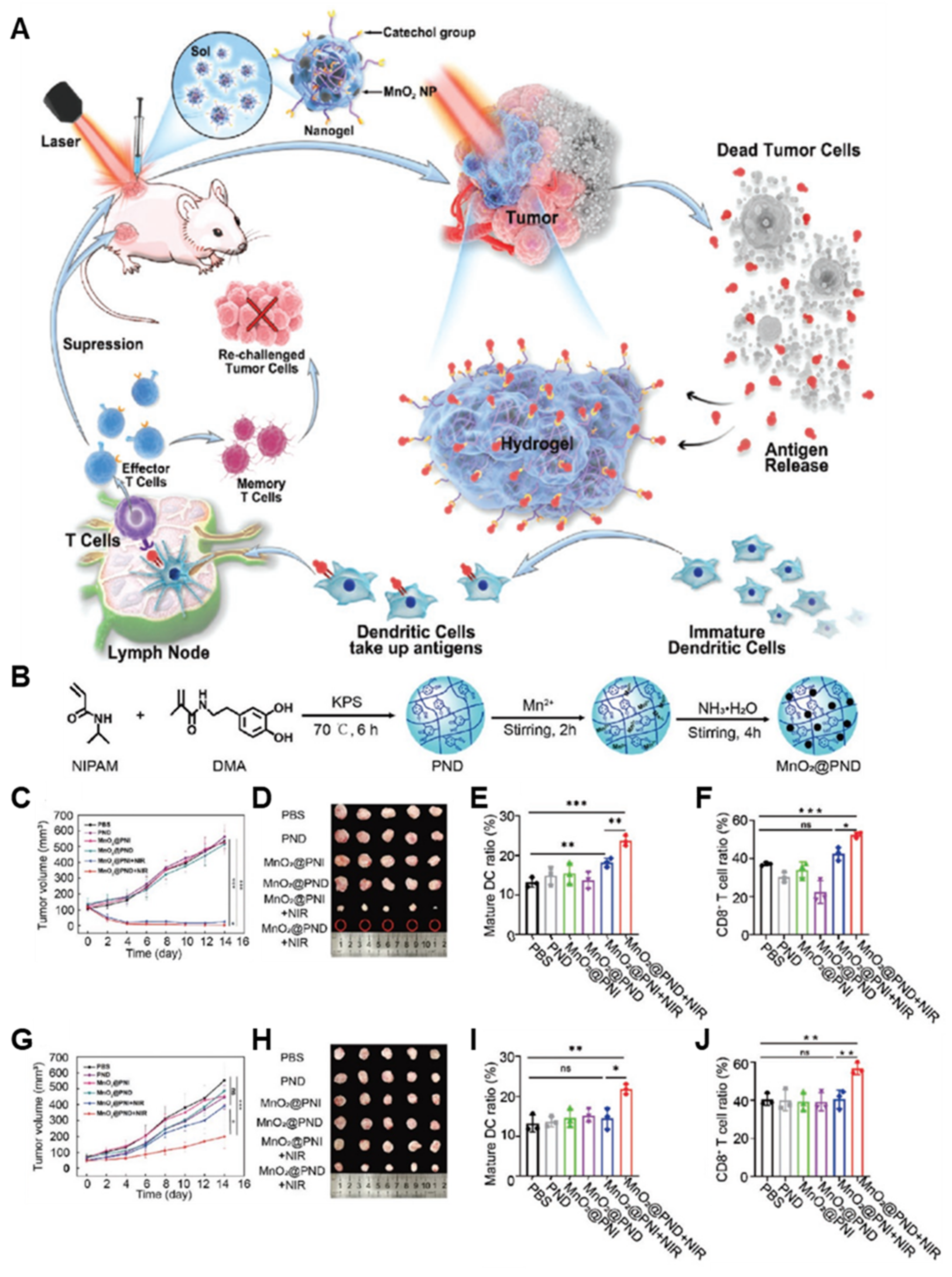 Pharmaceutics 14 01908 g004